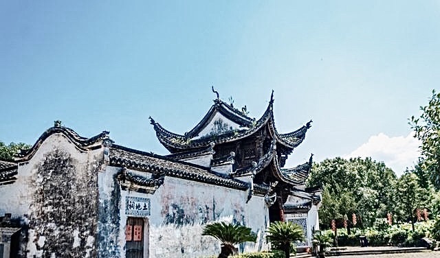 新叶古村旅行图片 2