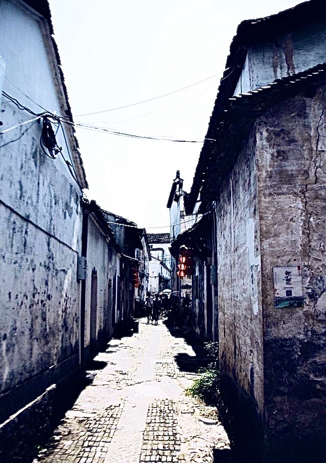 新叶古村旅行图片 1