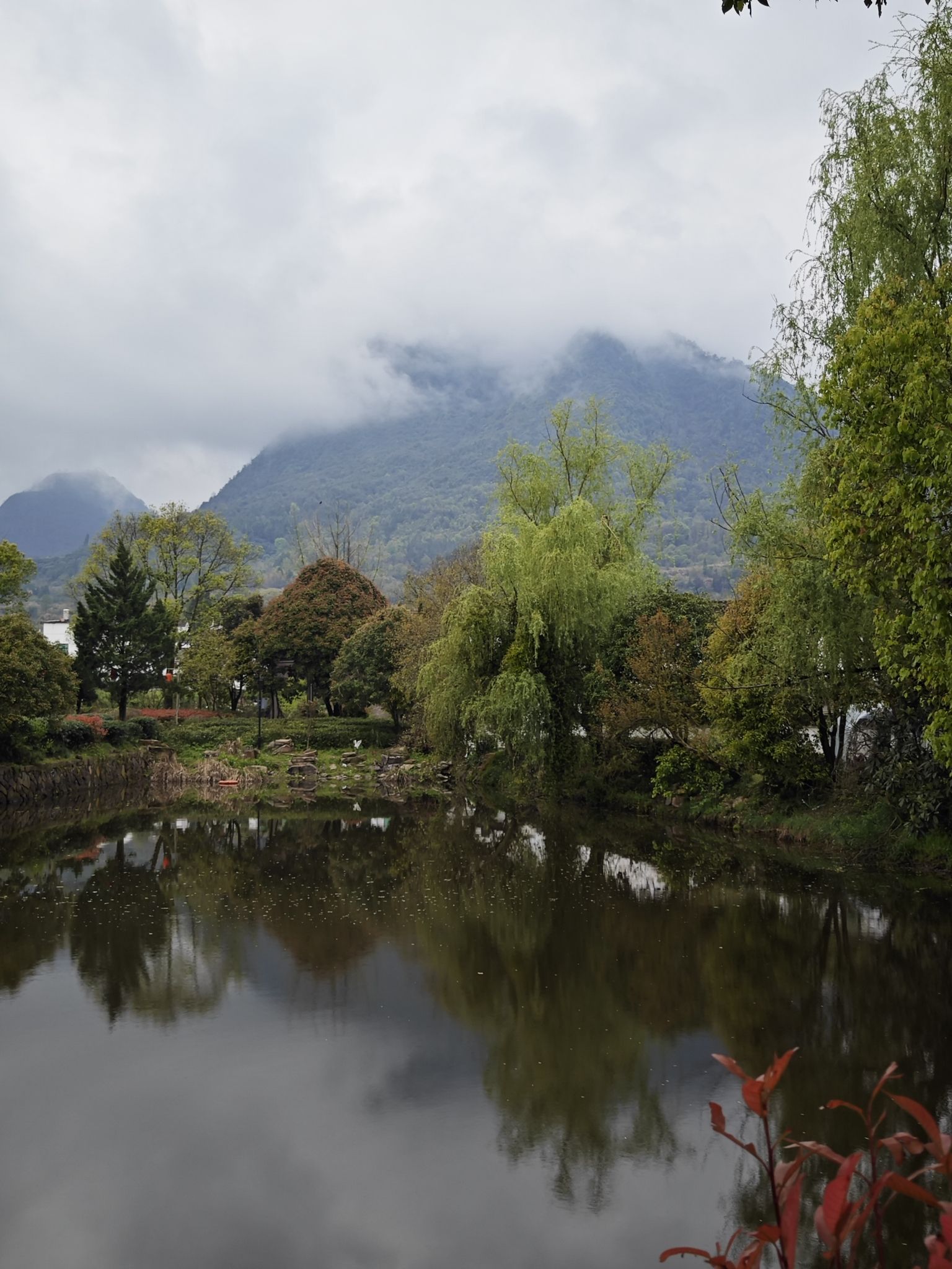 新叶古村旅行图片 1