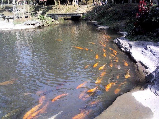 圣文园旅行图片 2
