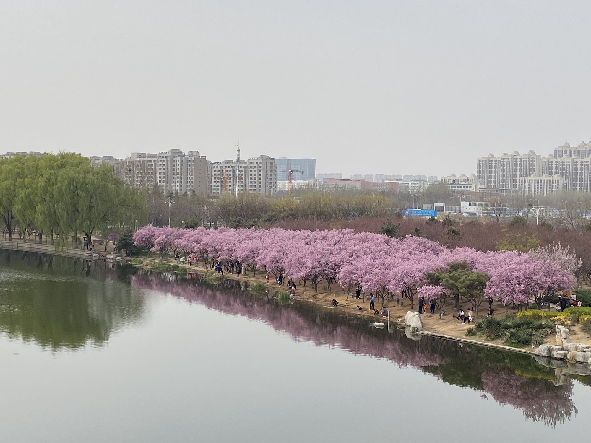凤凰河公园旅行图片 1