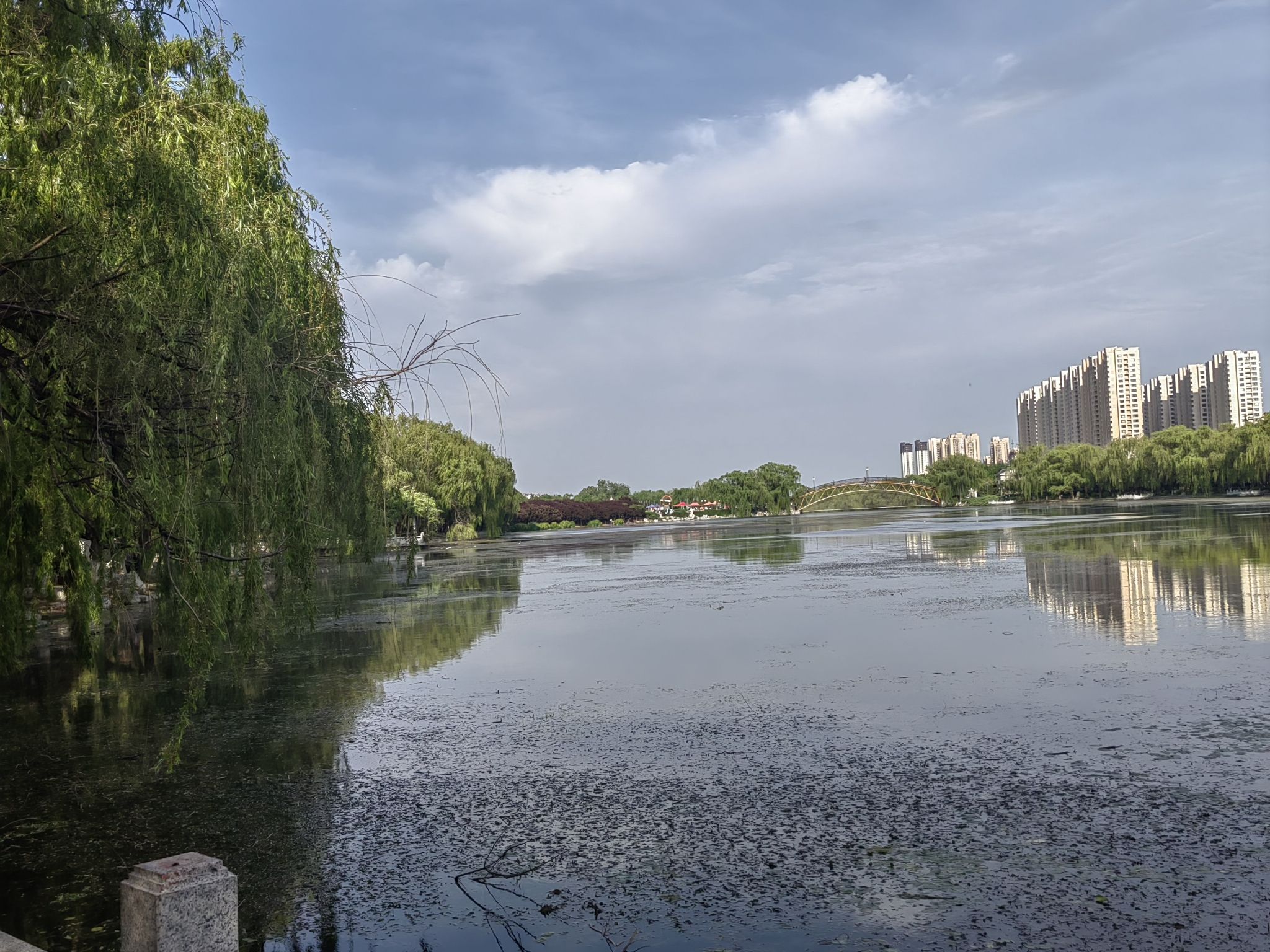 凤凰河公园旅行图片 3