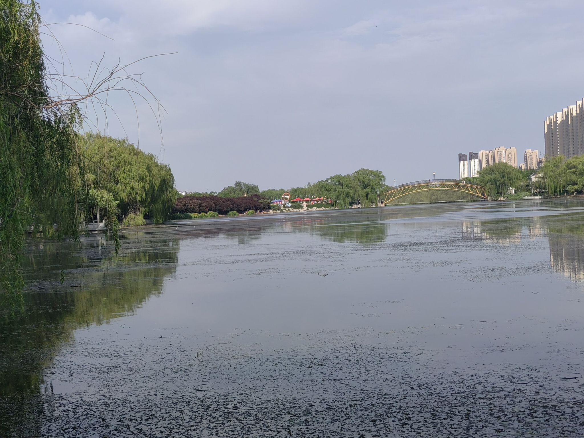 凤凰河公园旅行图片 2