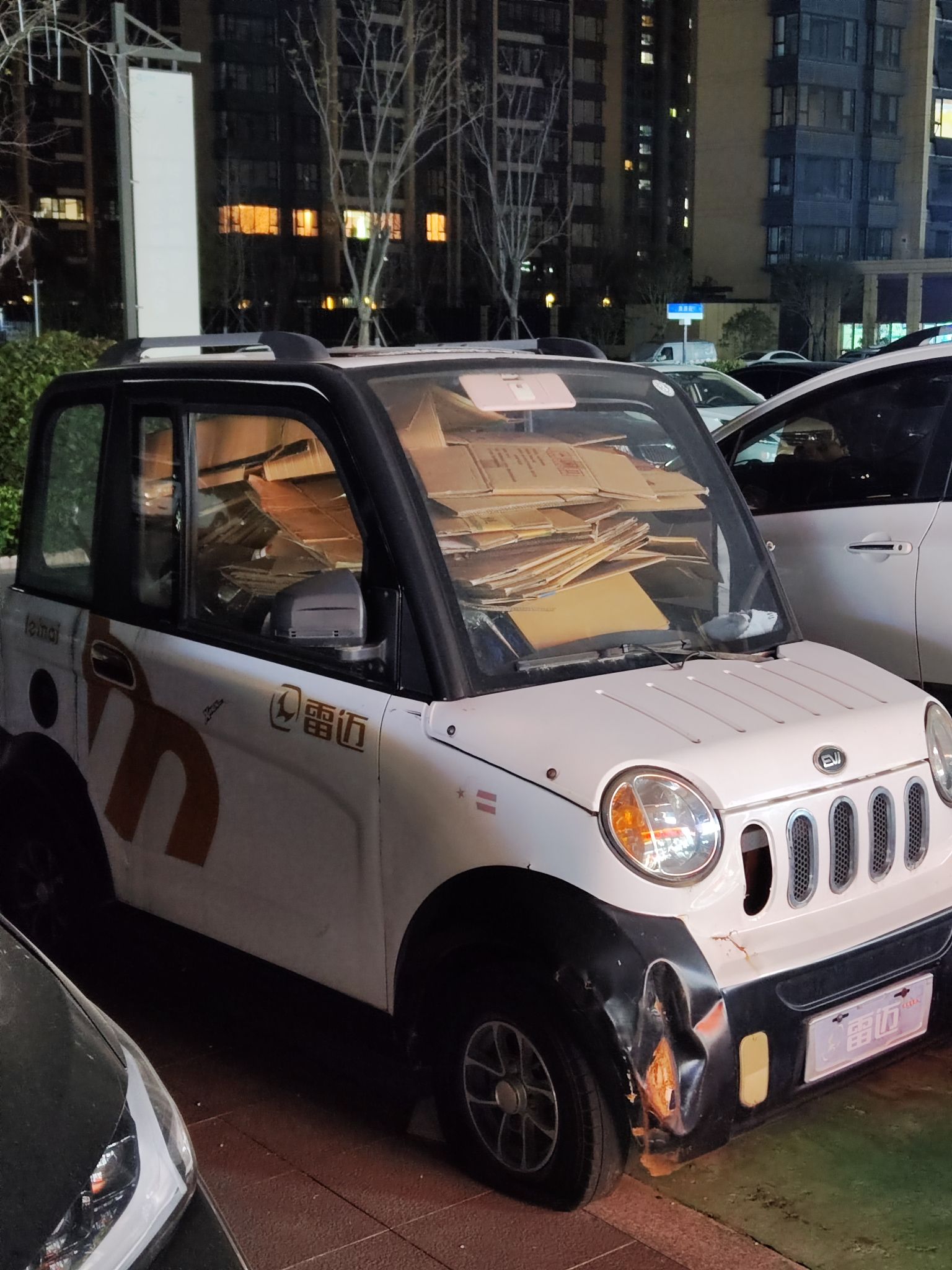 凤凰河公园旅行图片 3