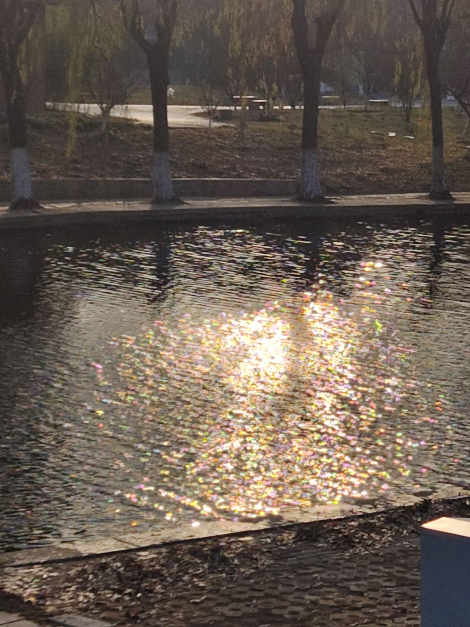 凤凰河公园旅行图片 1