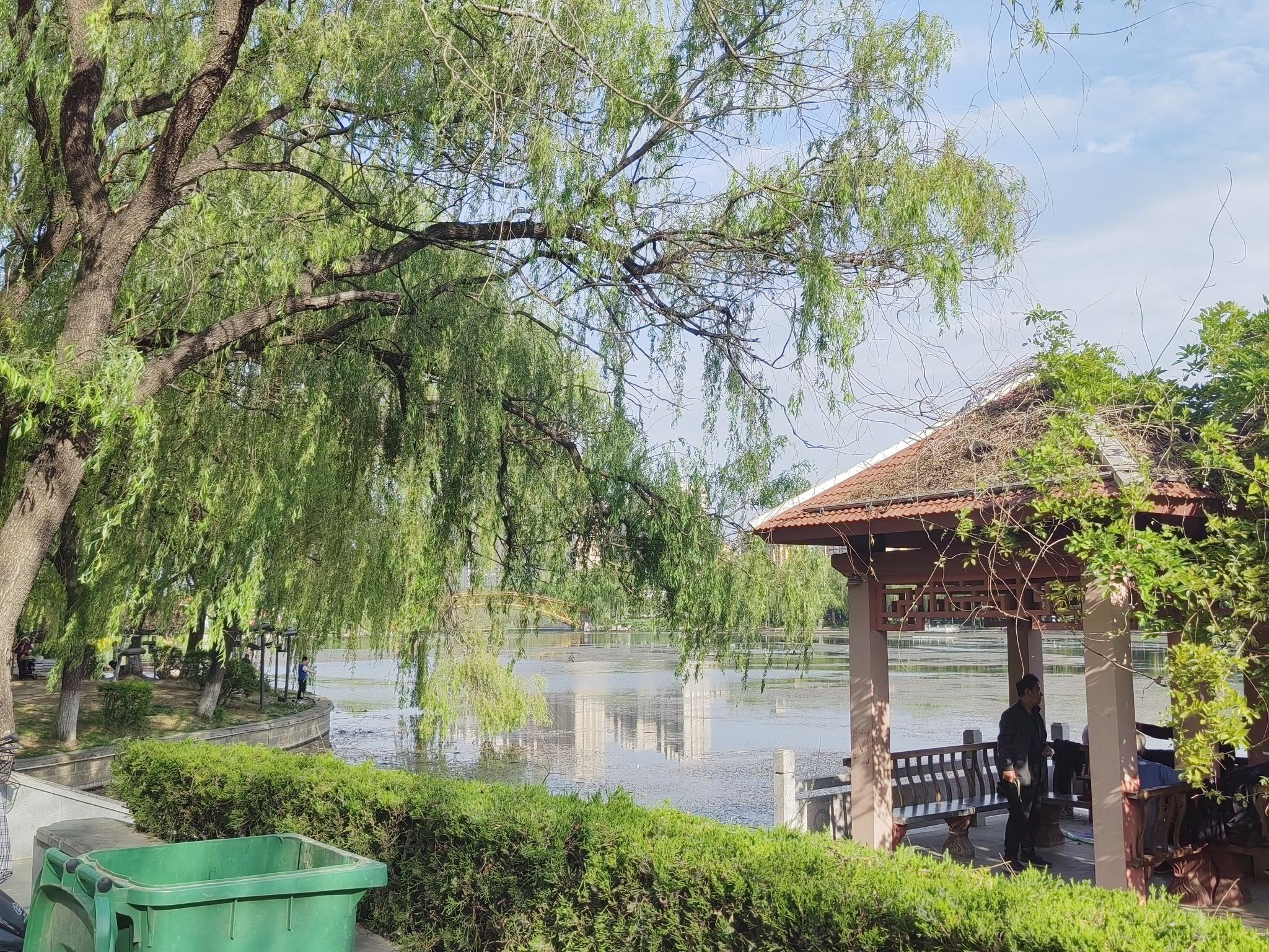 凤凰河公园旅行图片 1