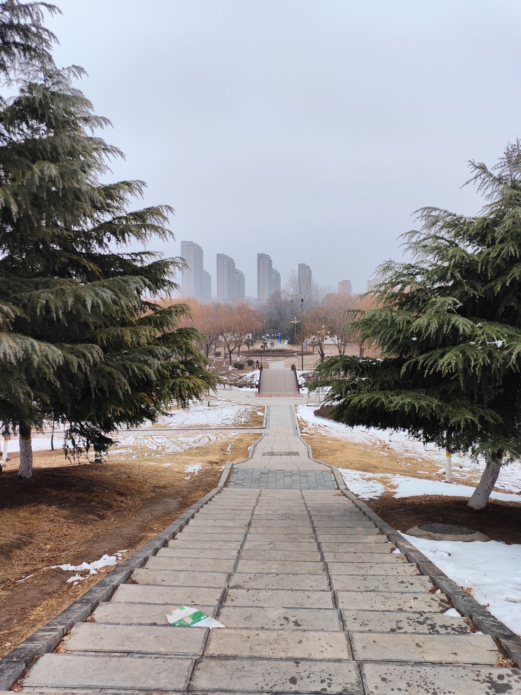 如意园旅行图片 3