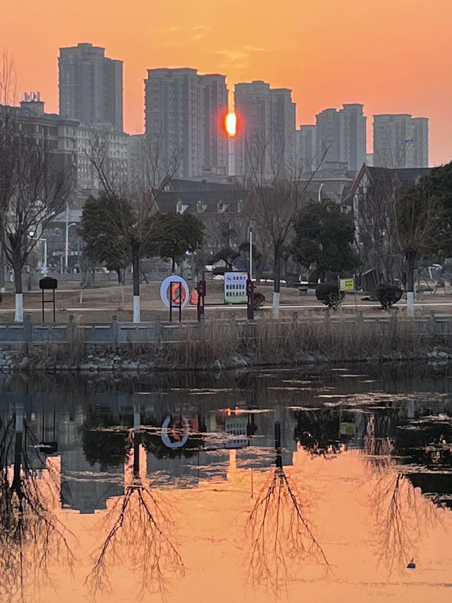如意园旅行图片 2