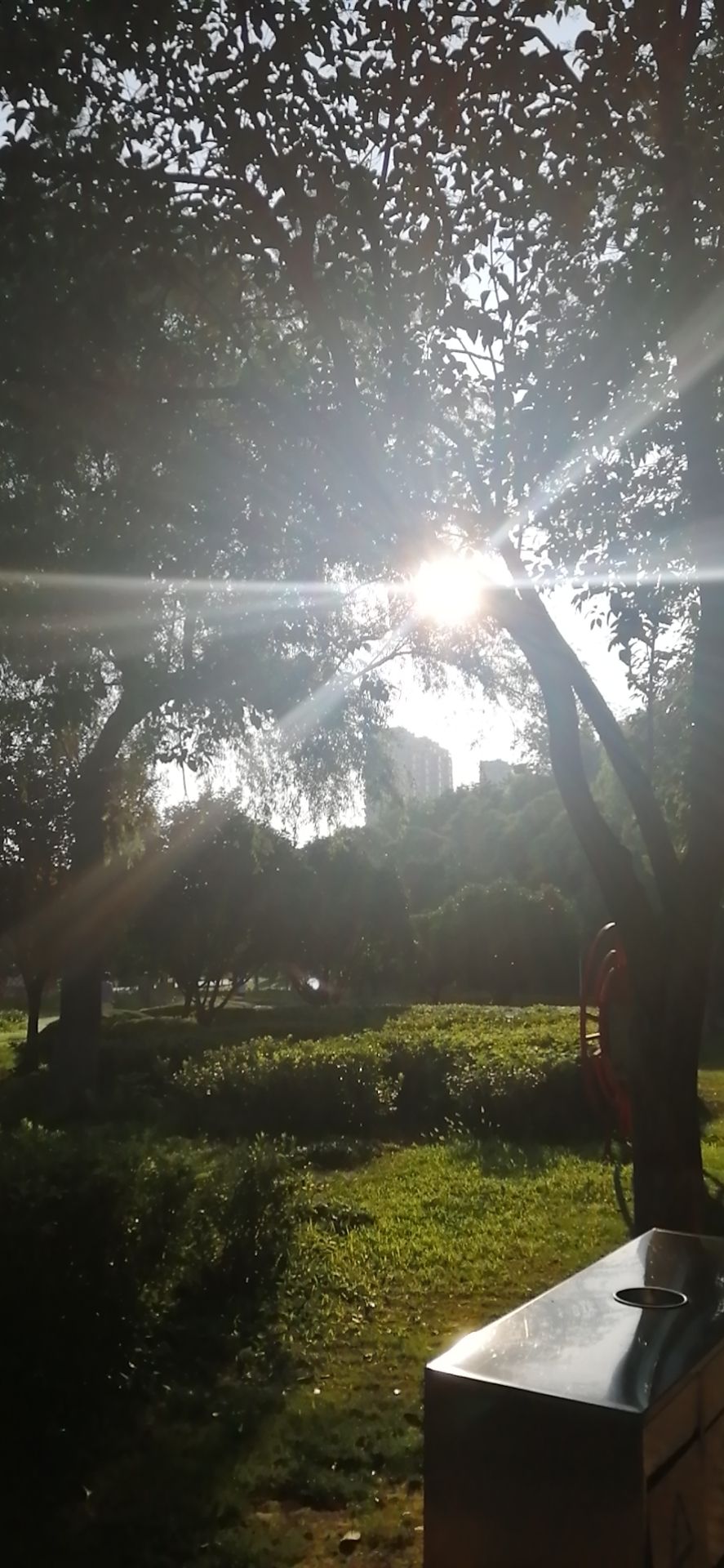 如意园旅行图片 1