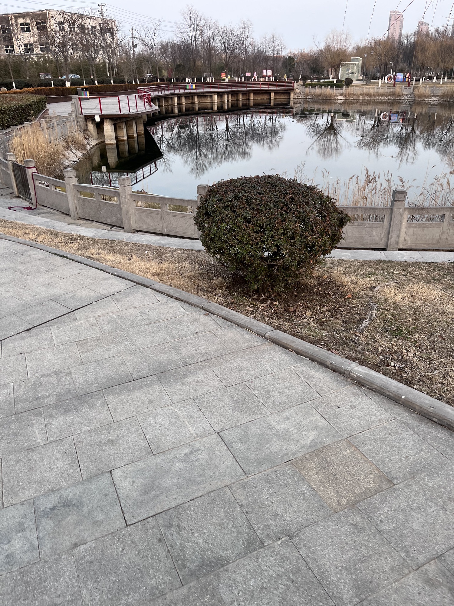 如意园旅行图片 3