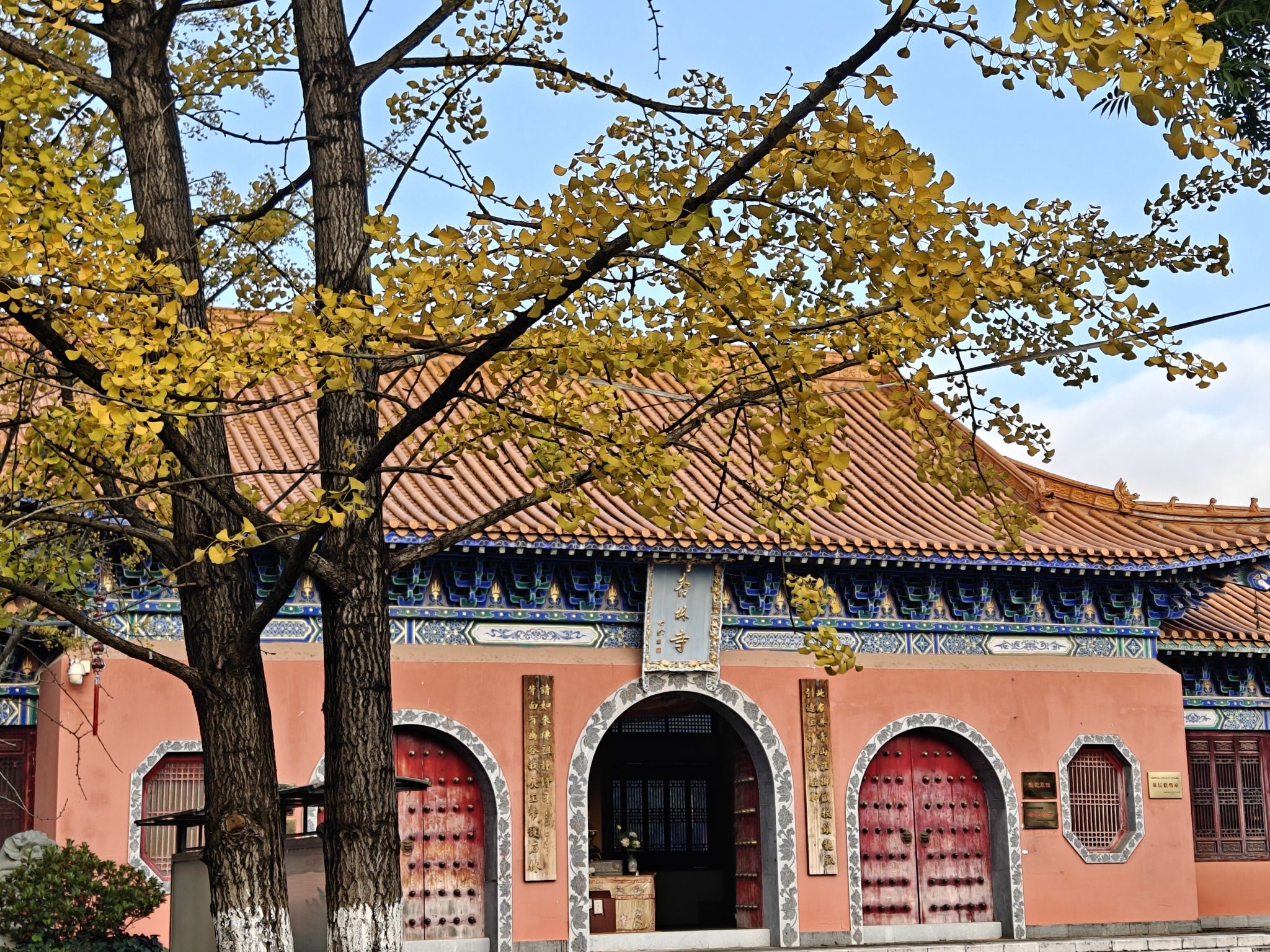 杏林寺实景照片