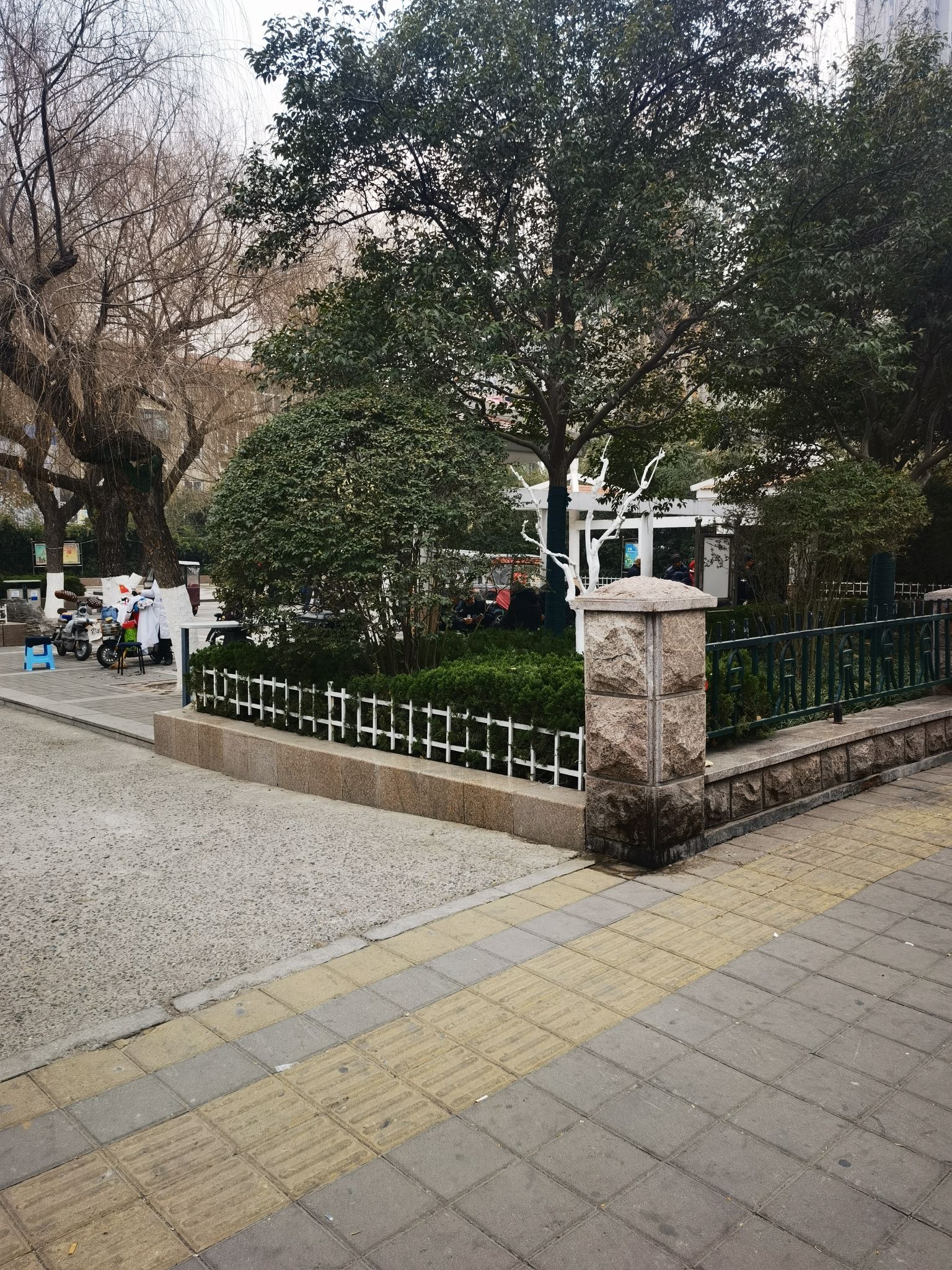 雅园旅行图片 2