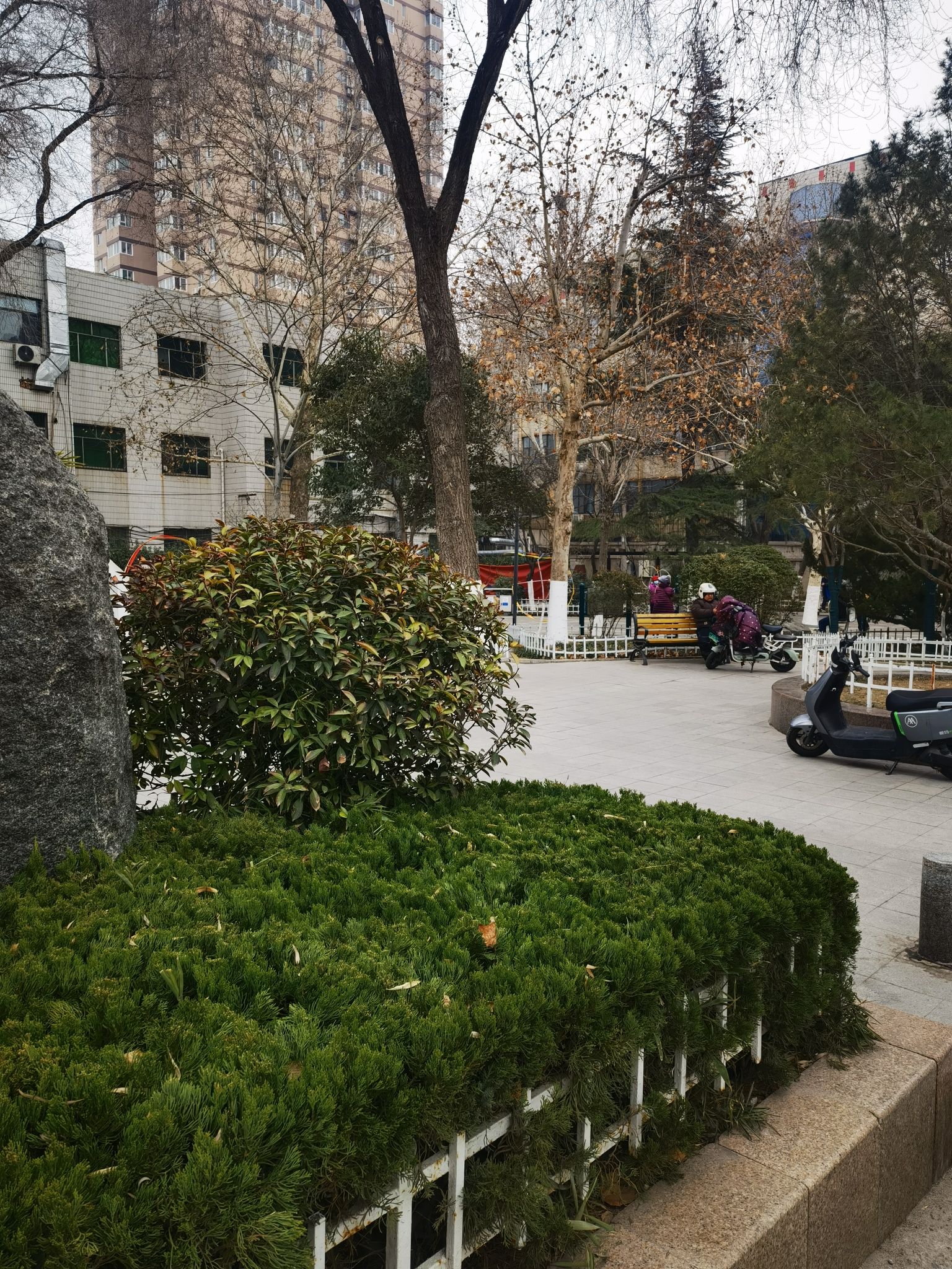 雅园旅行图片 3