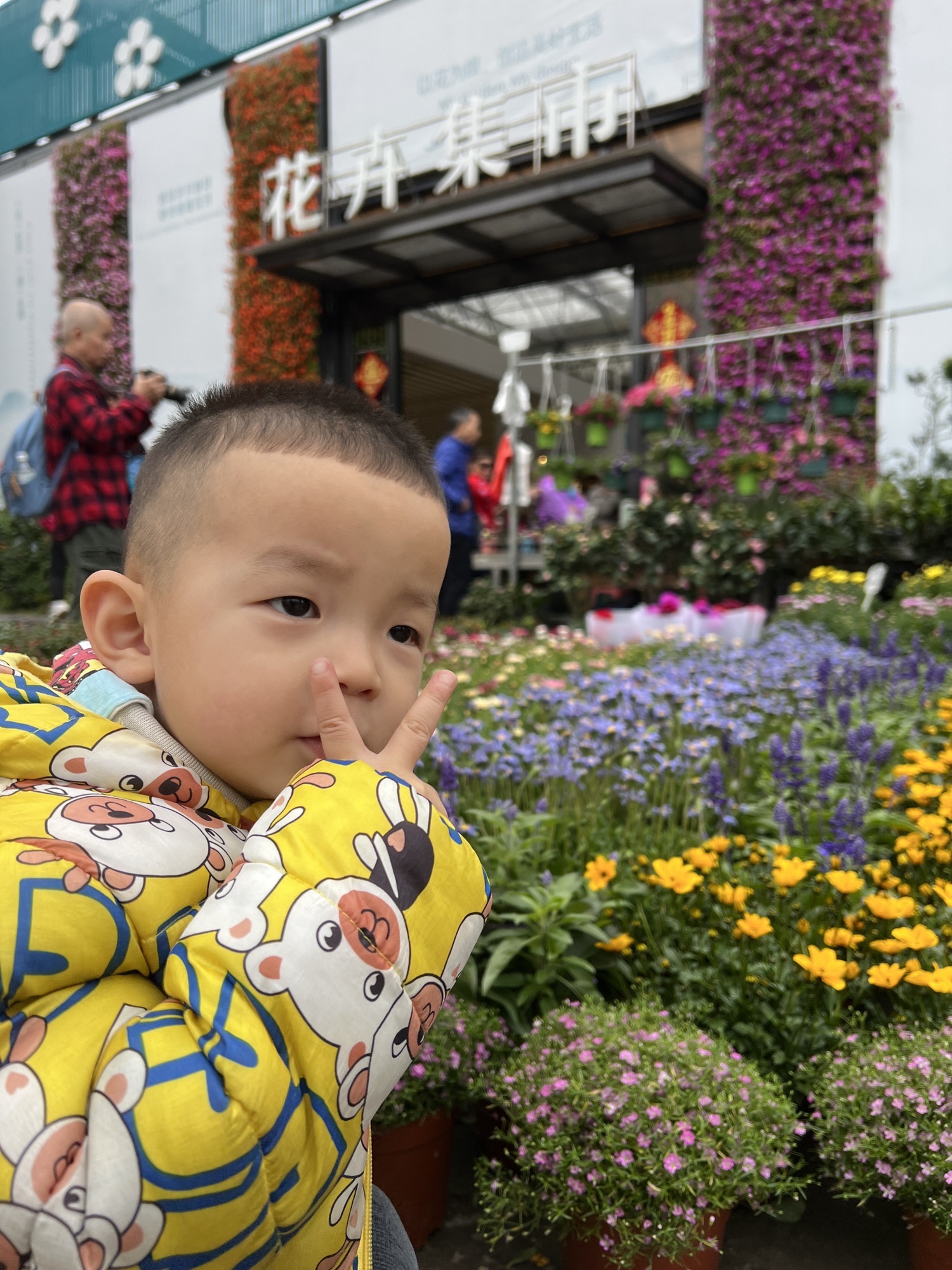 花卉世界旅行图片 3