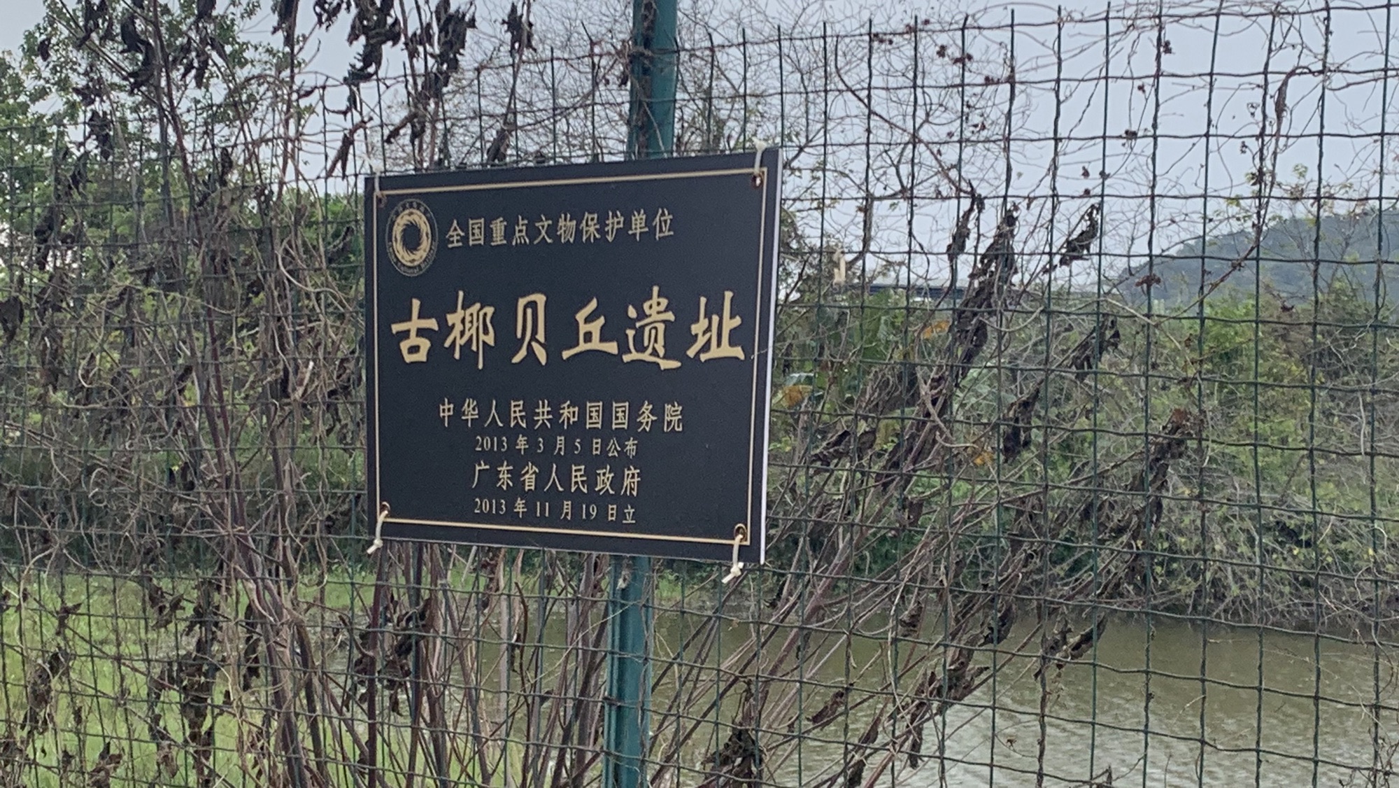 古椰贝丘遗址旅行图片 1