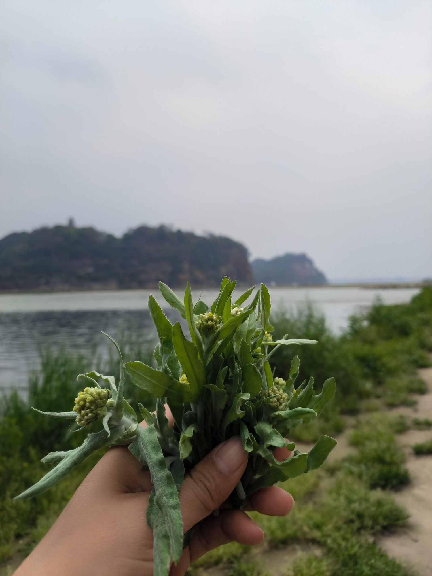 旅游广场旅行图片 2