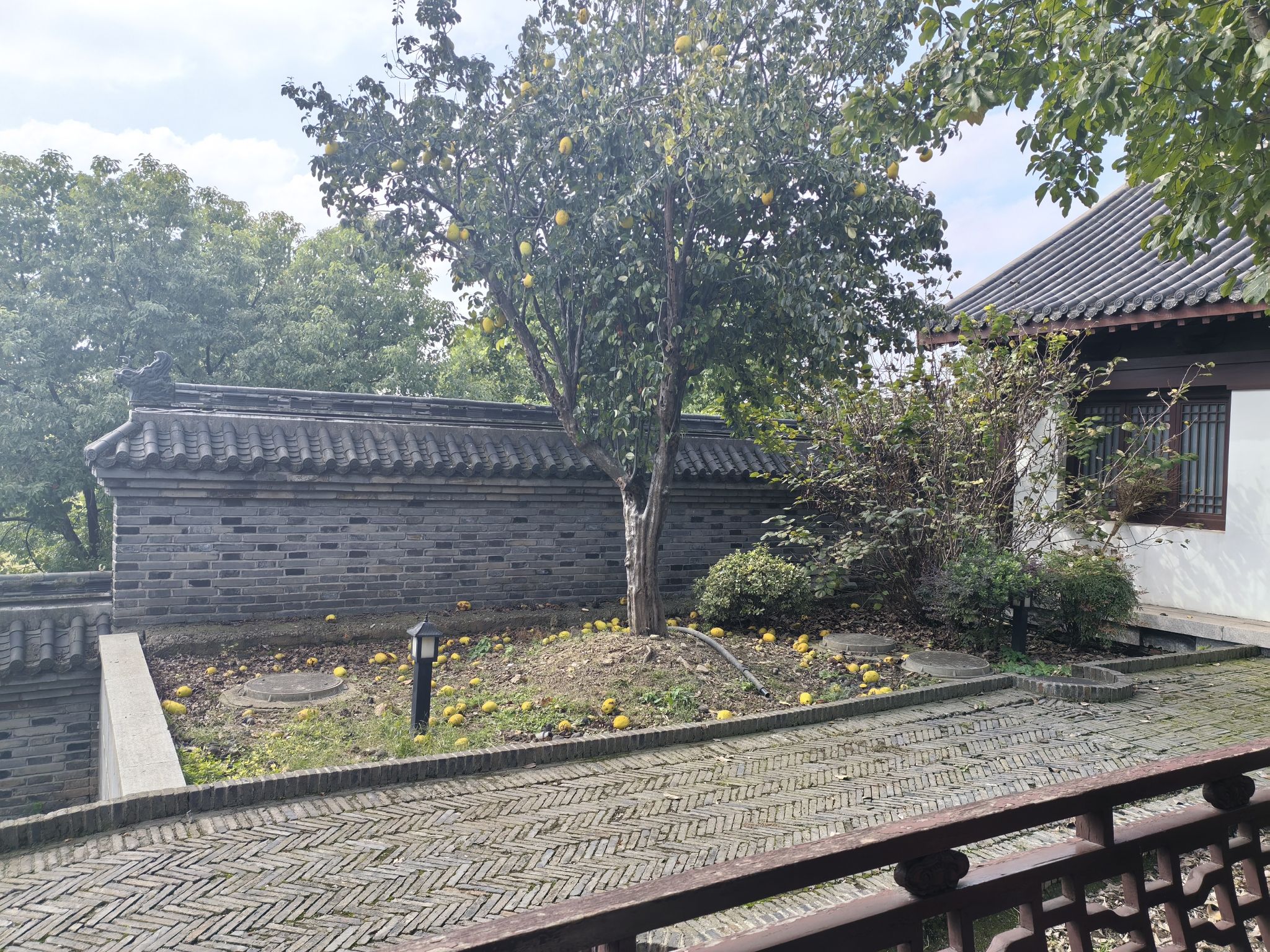 季子文化公园旅行图片 1