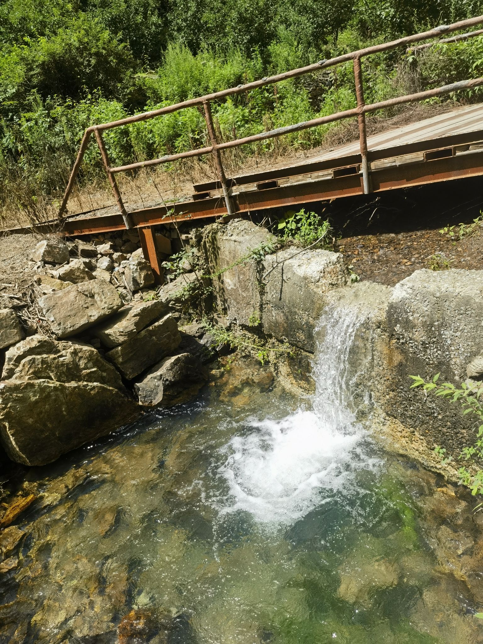 九龙潭自然风景区(暂停开放)旅行图片 2