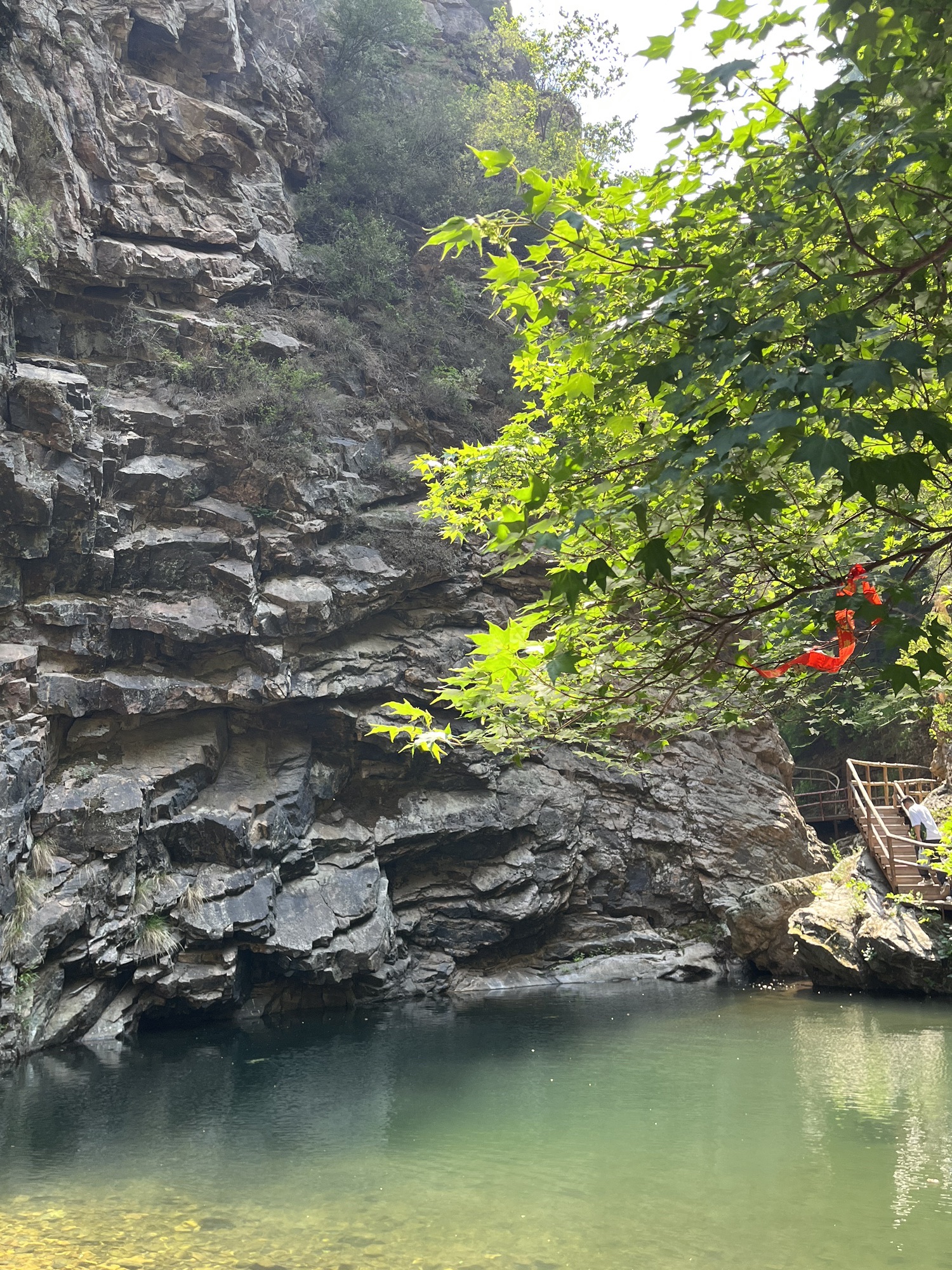 九龙潭自然风景区(暂停开放)旅行图片 2