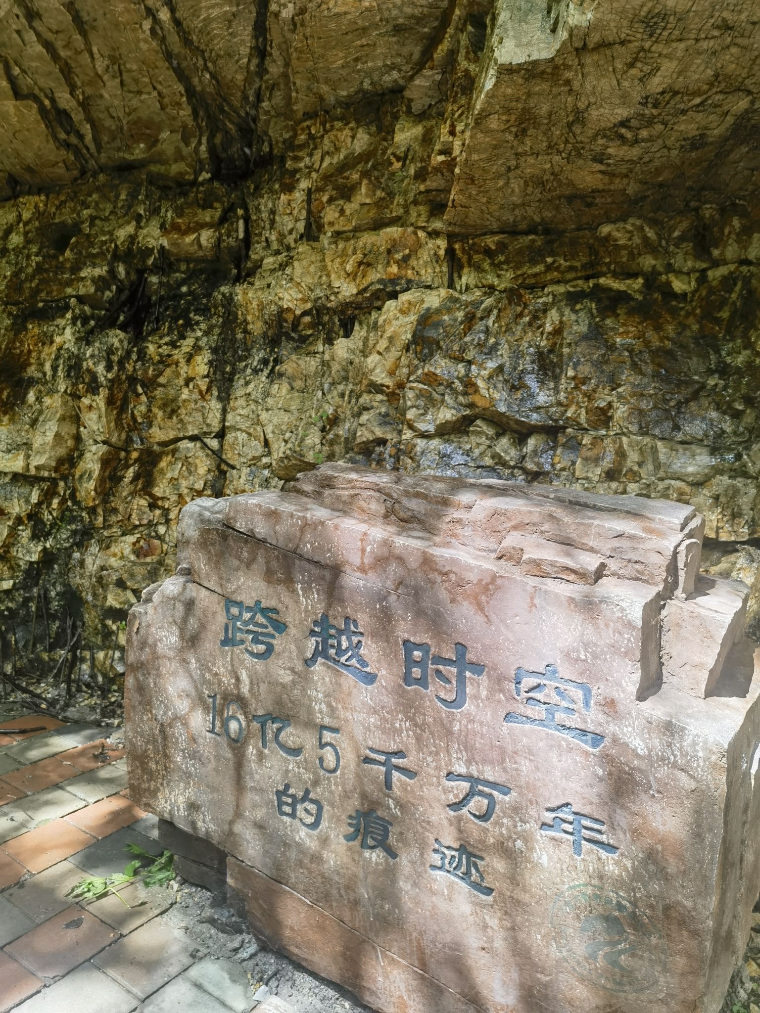 九龙潭自然风景区(暂停开放)旅行图片 1