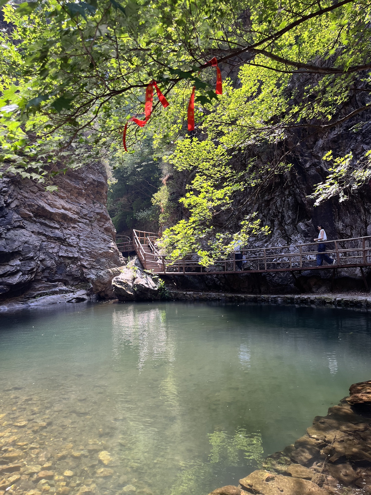 九龙潭自然风景区(暂停开放)旅行图片 1
