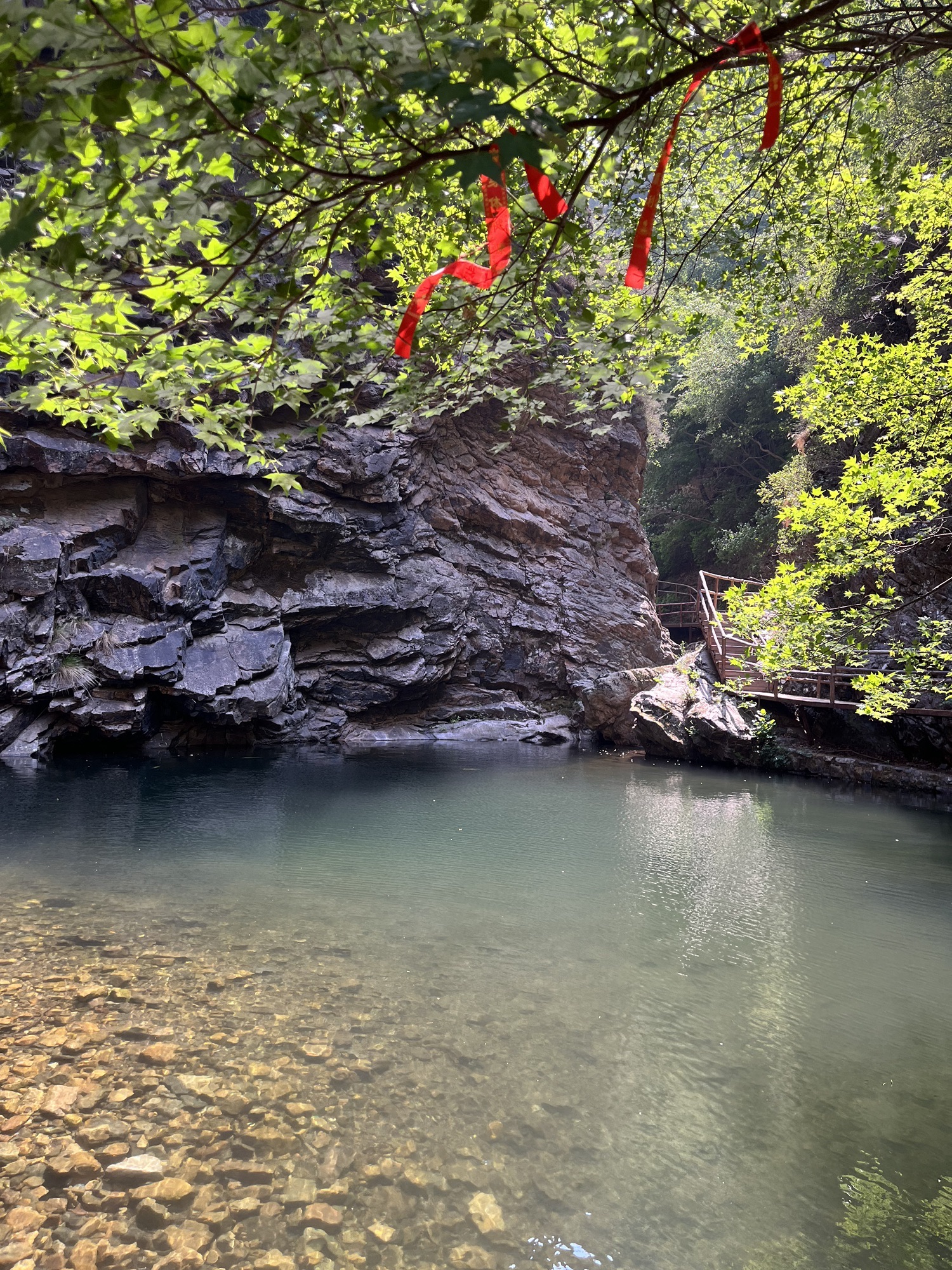 九龙潭自然风景区(暂停开放)旅行图片 3