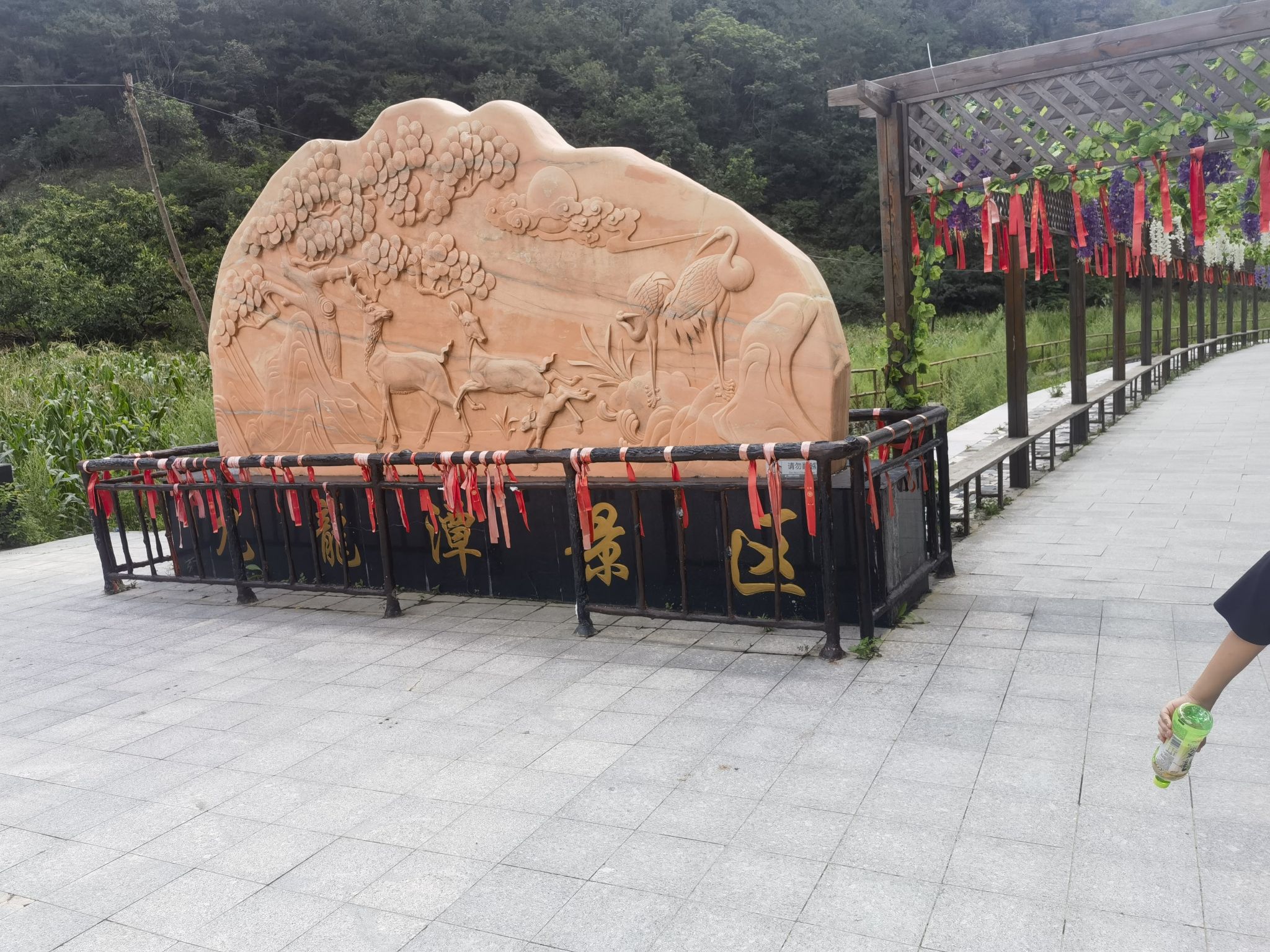 九龙潭自然风景区(暂停开放)旅行图片 3