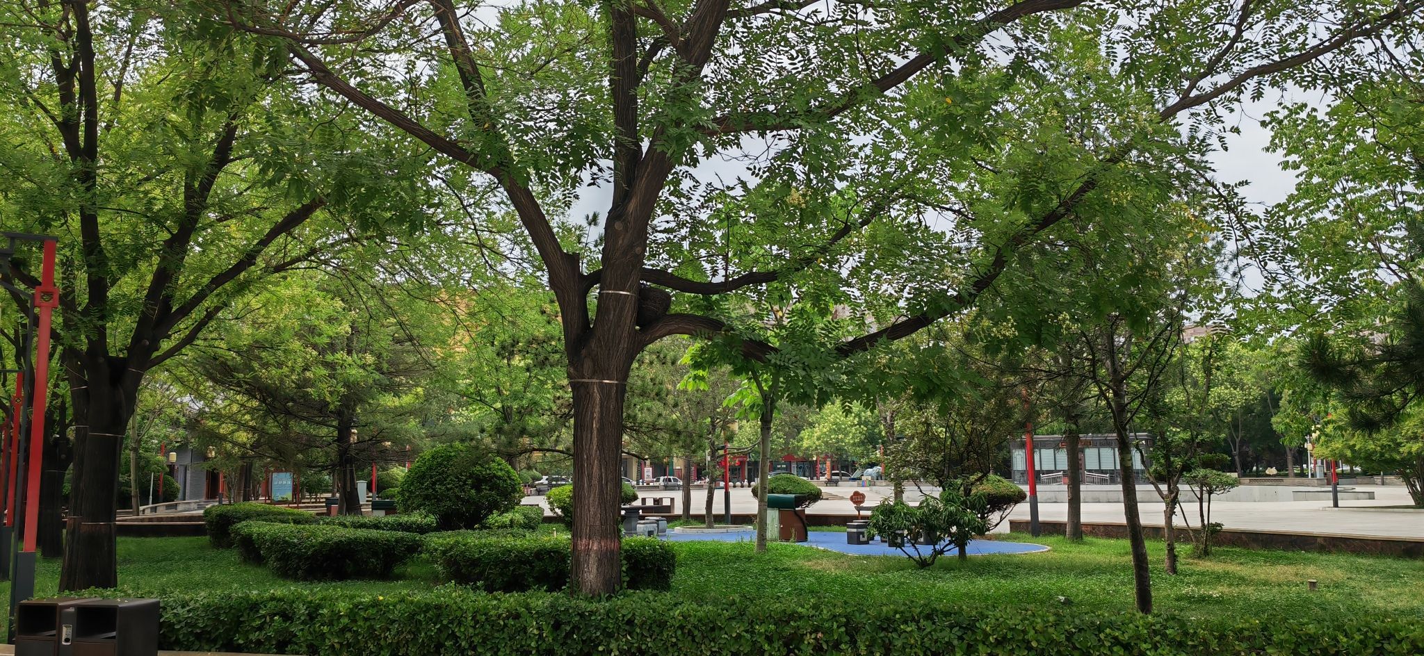 洪洞中心广场旅行图片 1