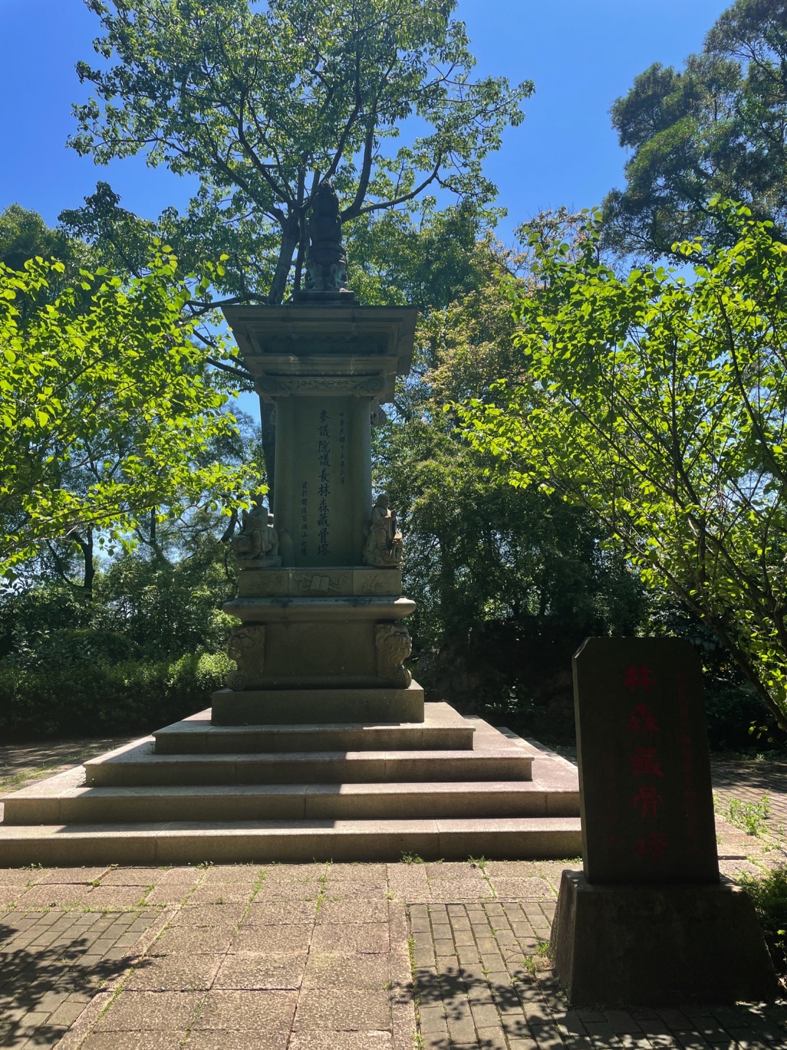 青芝山风景区旅行图片 2