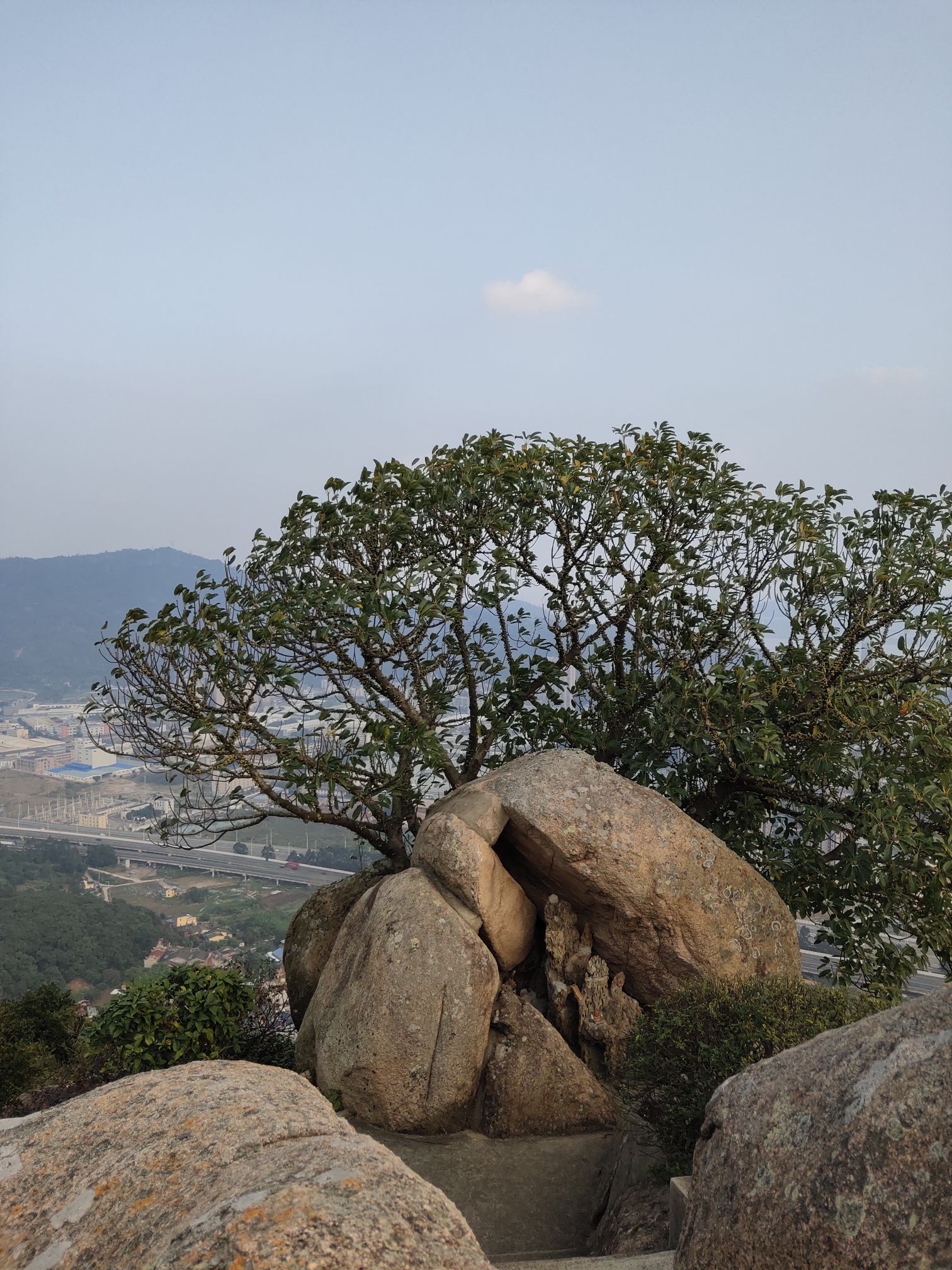 青芝山风景区旅行图片 3