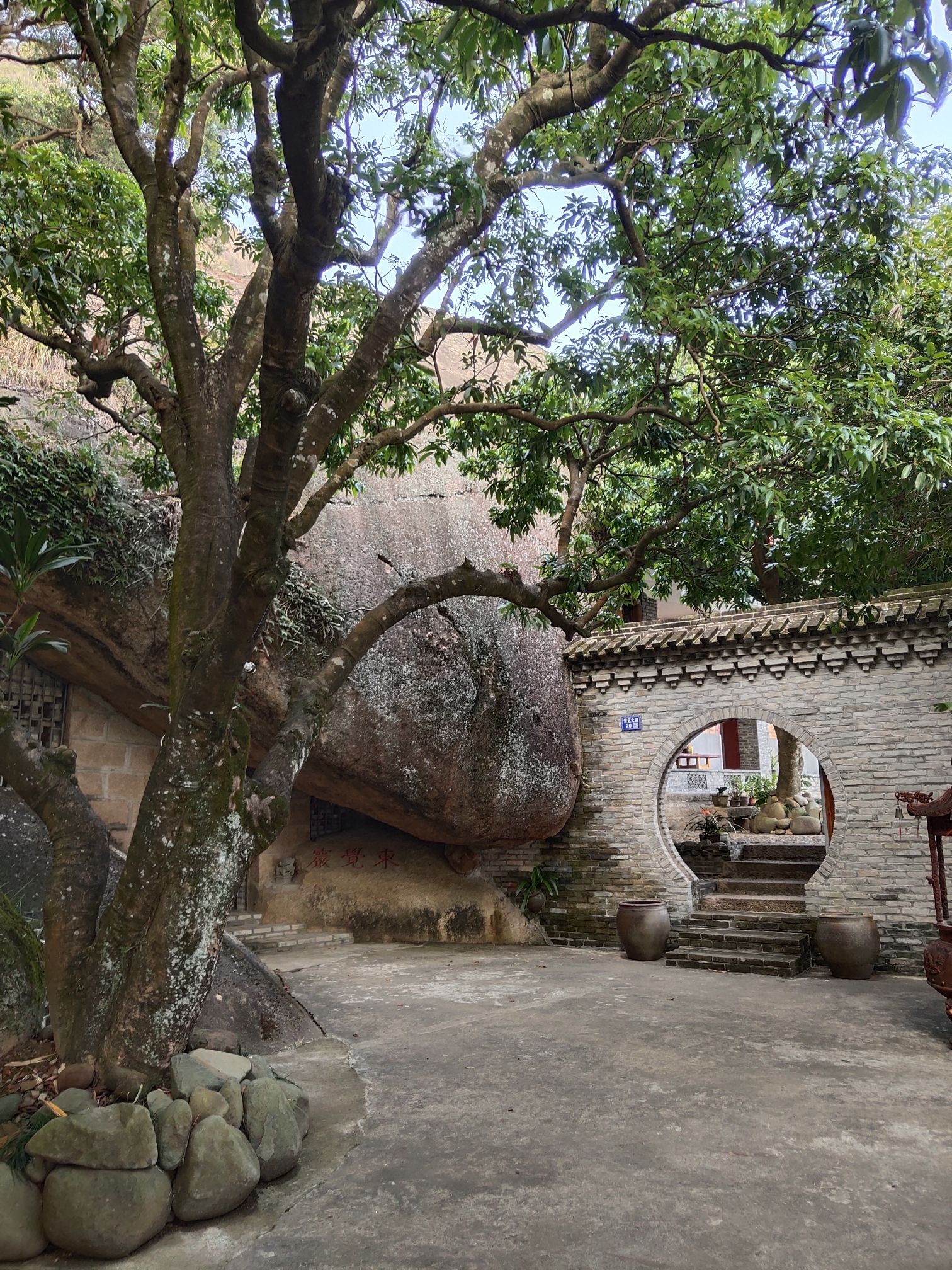 青芝山风景区旅行图片 2