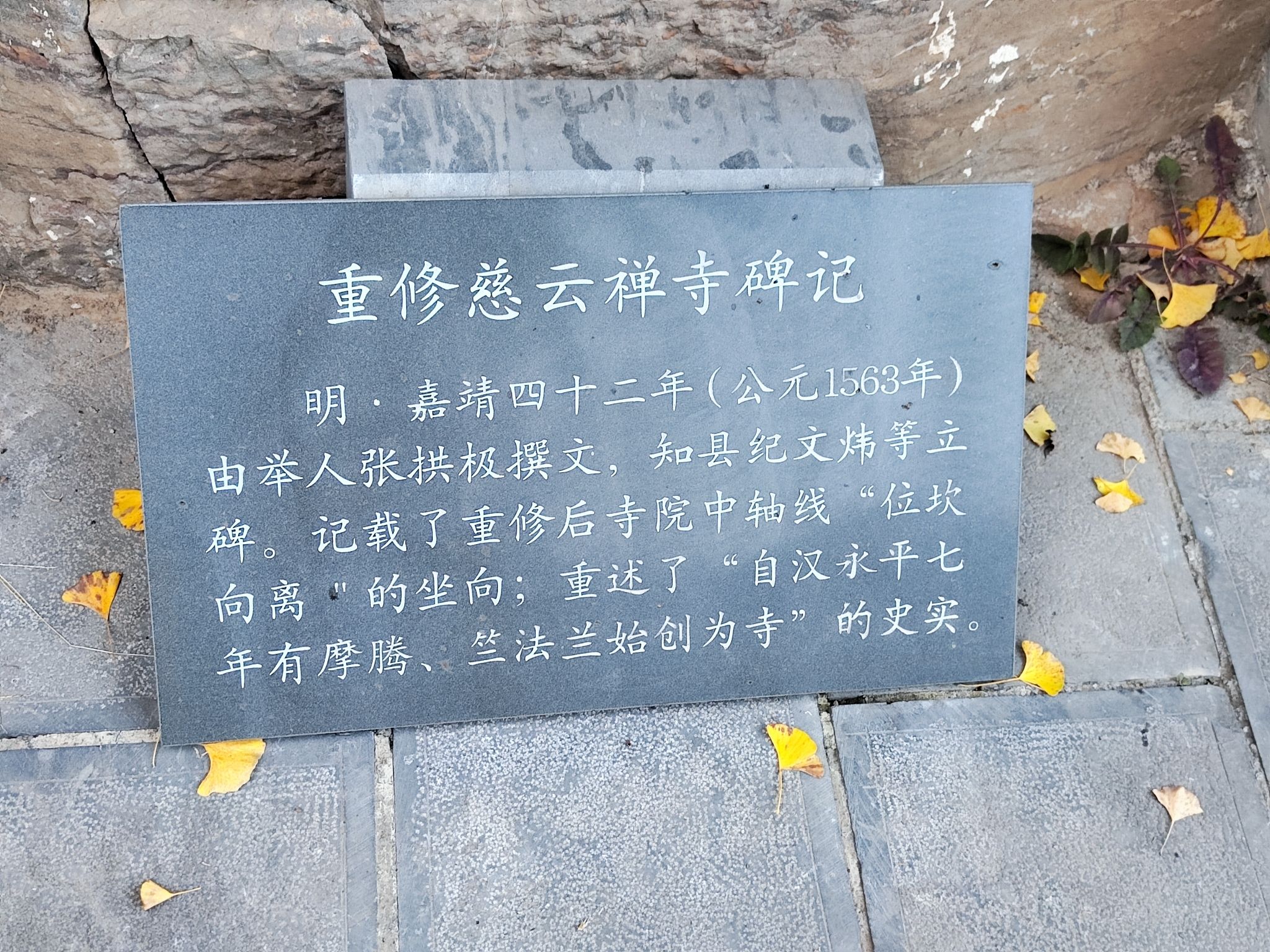 青龙山生态文化旅游区旅行图片 3