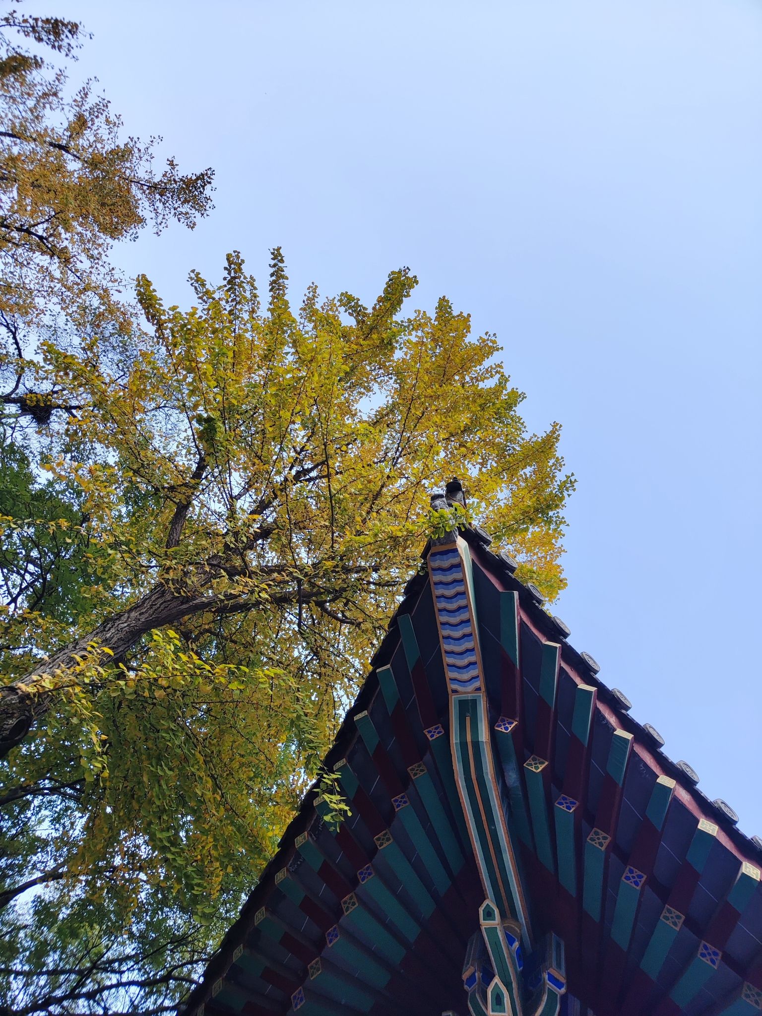 青龙山生态文化旅游区旅行图片 2