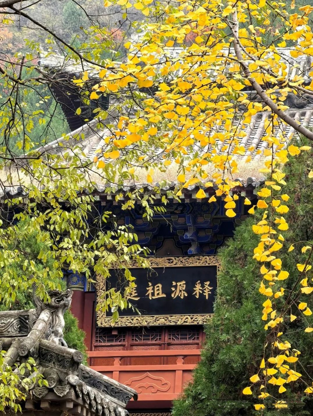 青龙山生态文化旅游区旅行图片 1