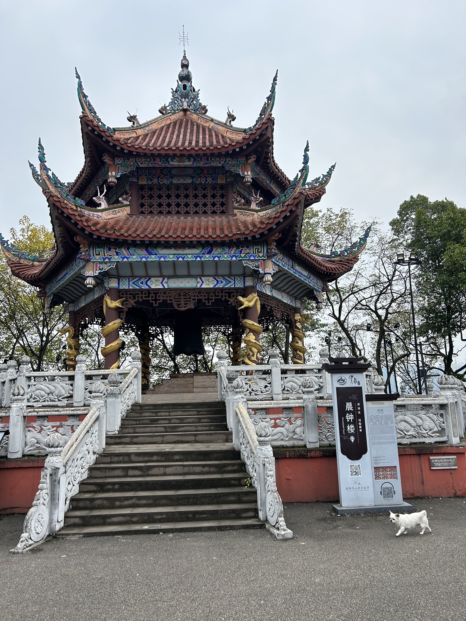 鹤鸣山景区旅行图片 1