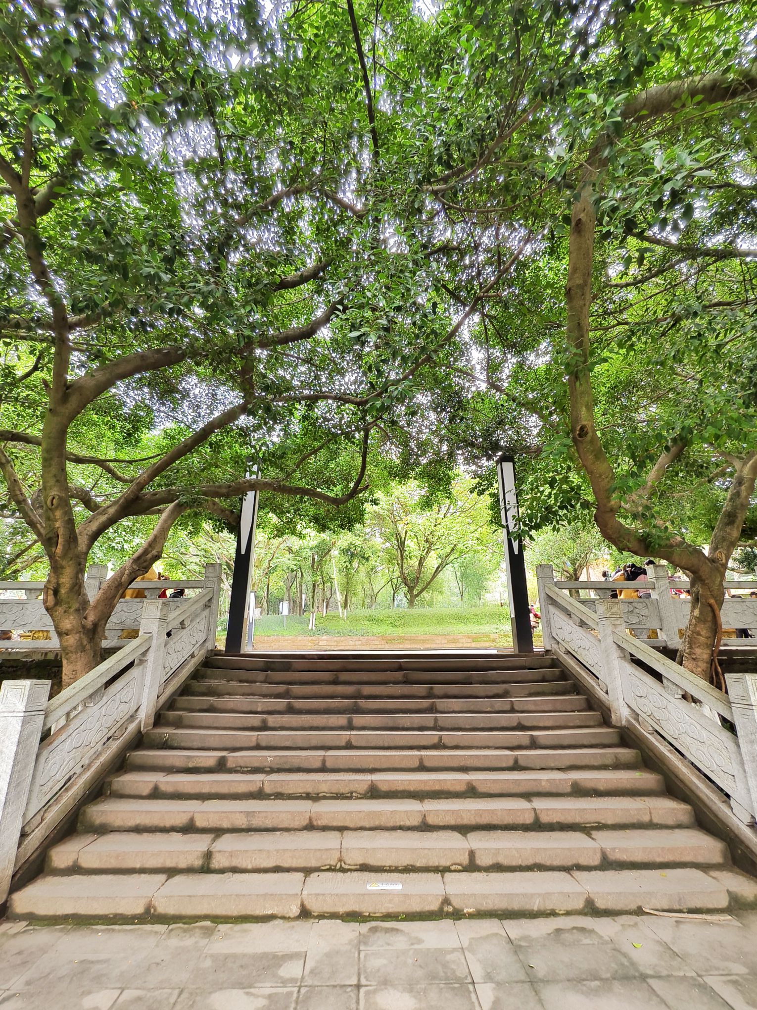 鹤鸣山景区旅行图片 3