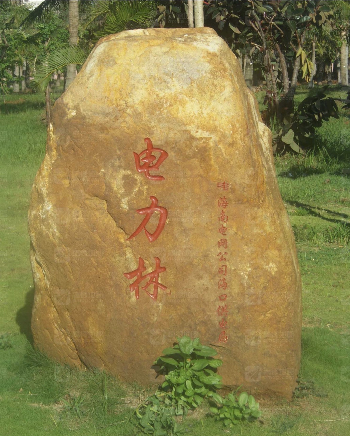 电力林旅行图片 1