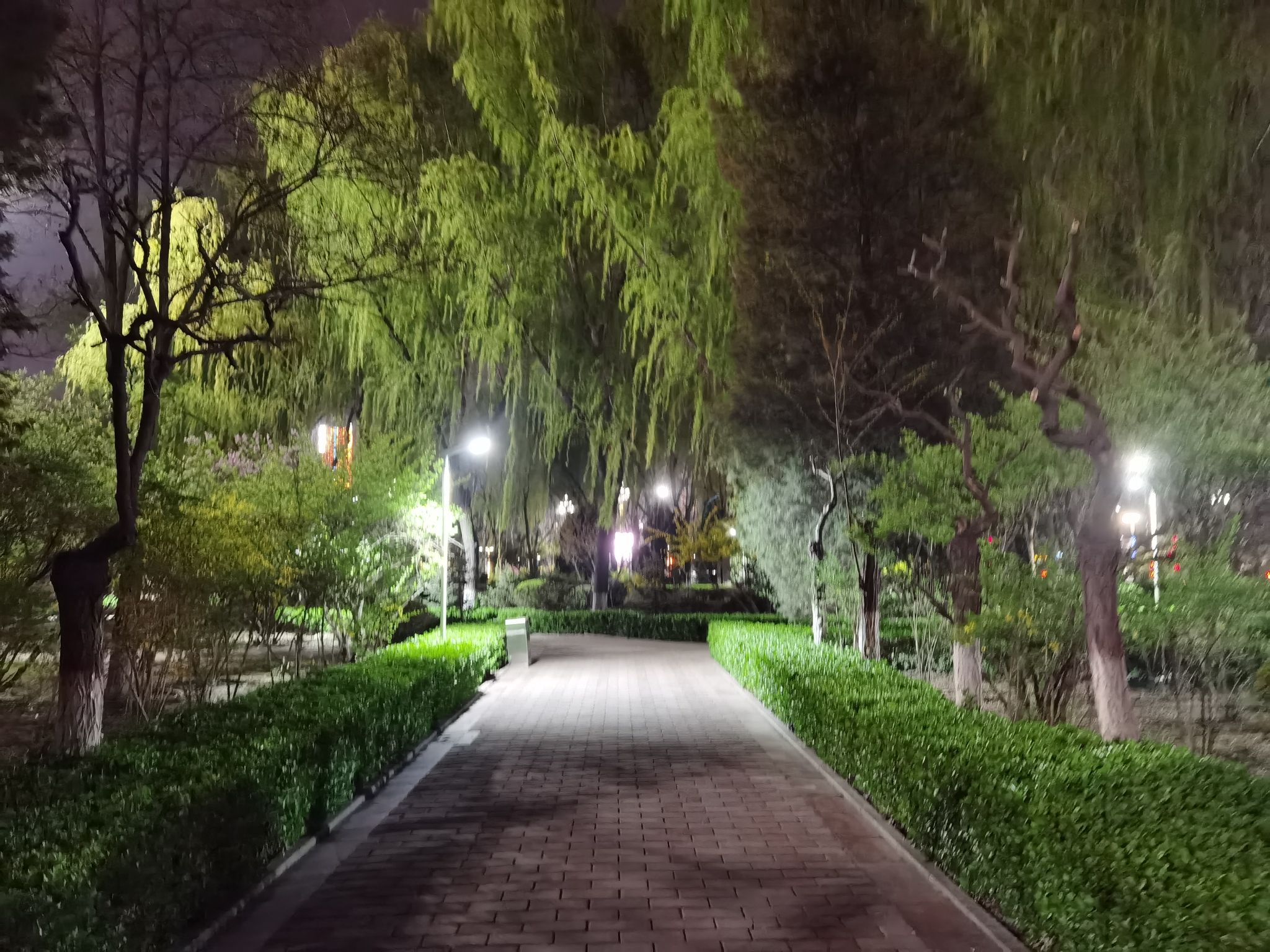 北坛公园旅行图片 3