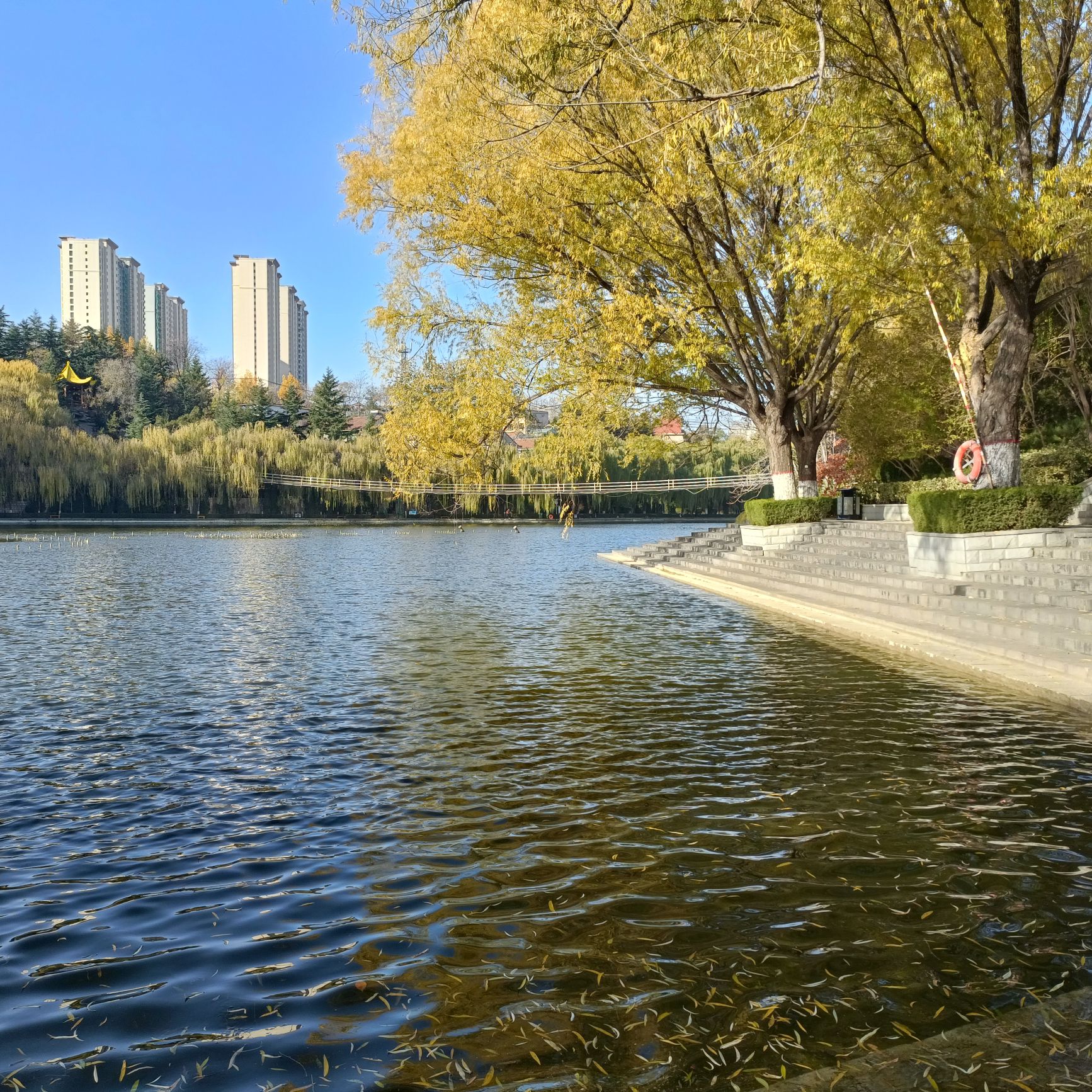 百丽园旅行图片 1