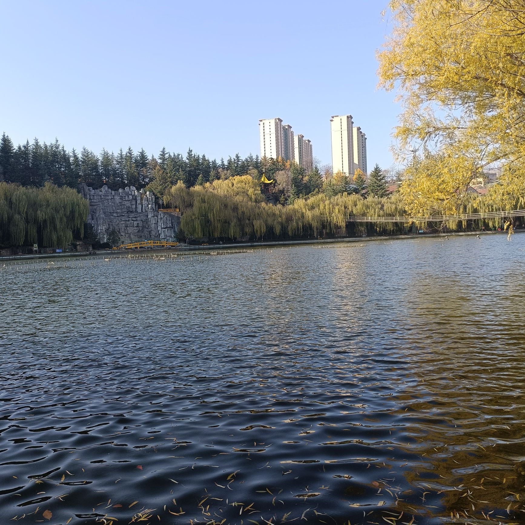 百丽园旅行图片 2