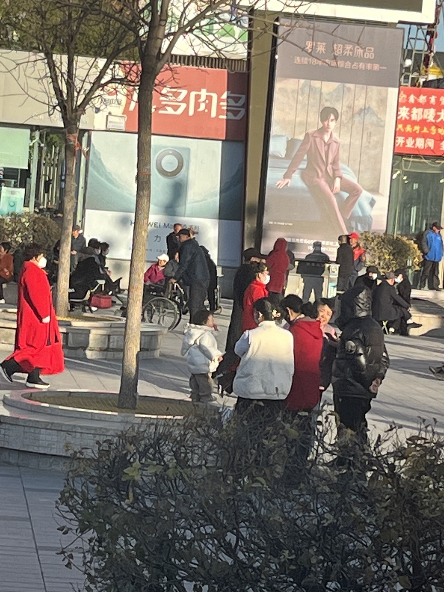 新阳广场-街心公园旅行图片 1