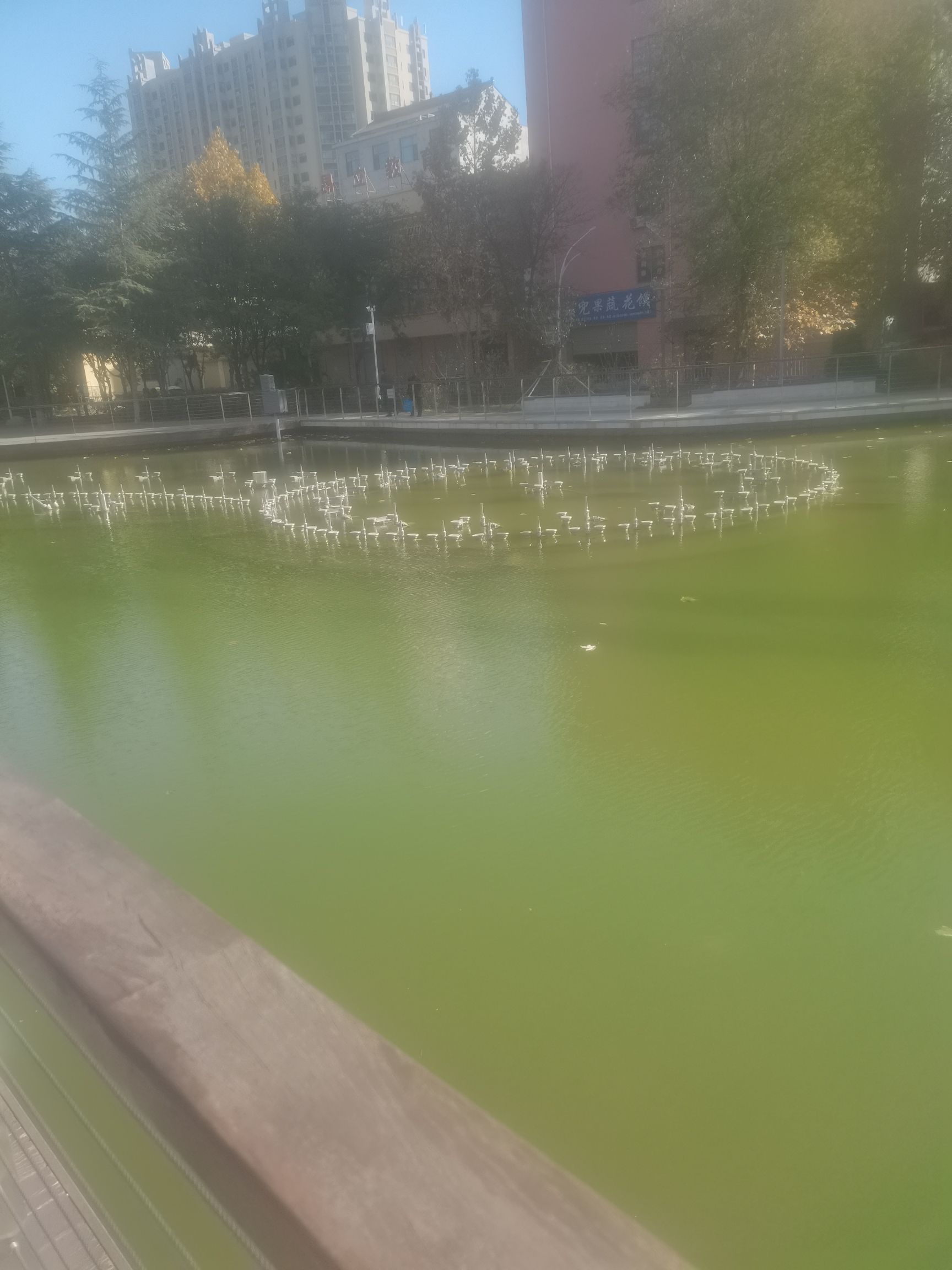 莲湖公园旅行图片 1