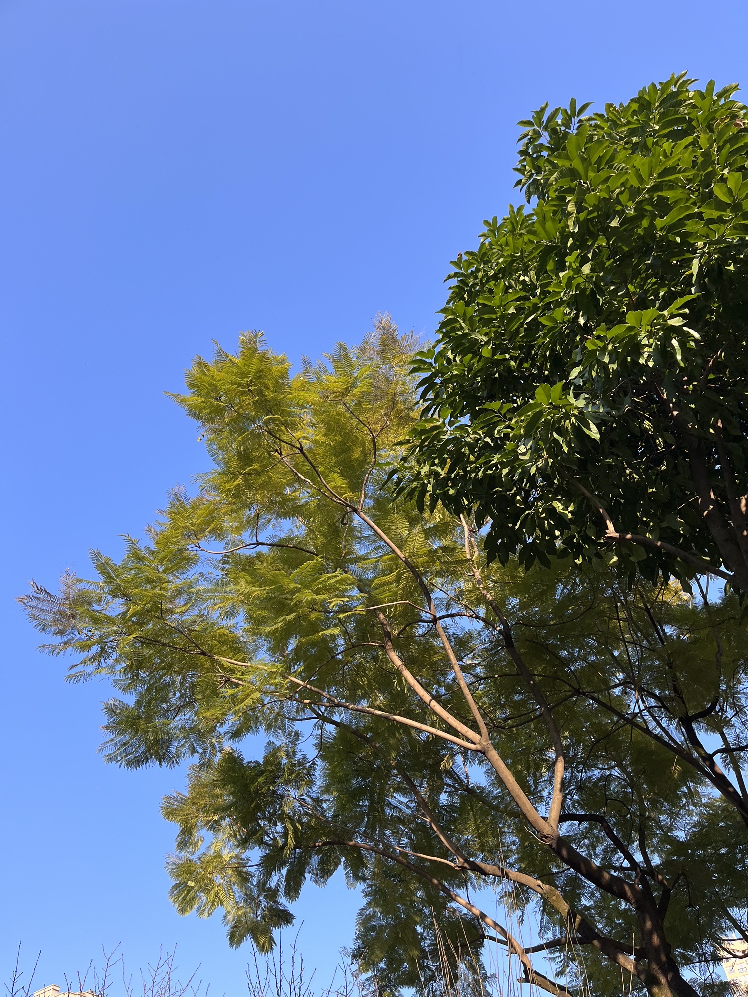 幸福公园旅行图片 3