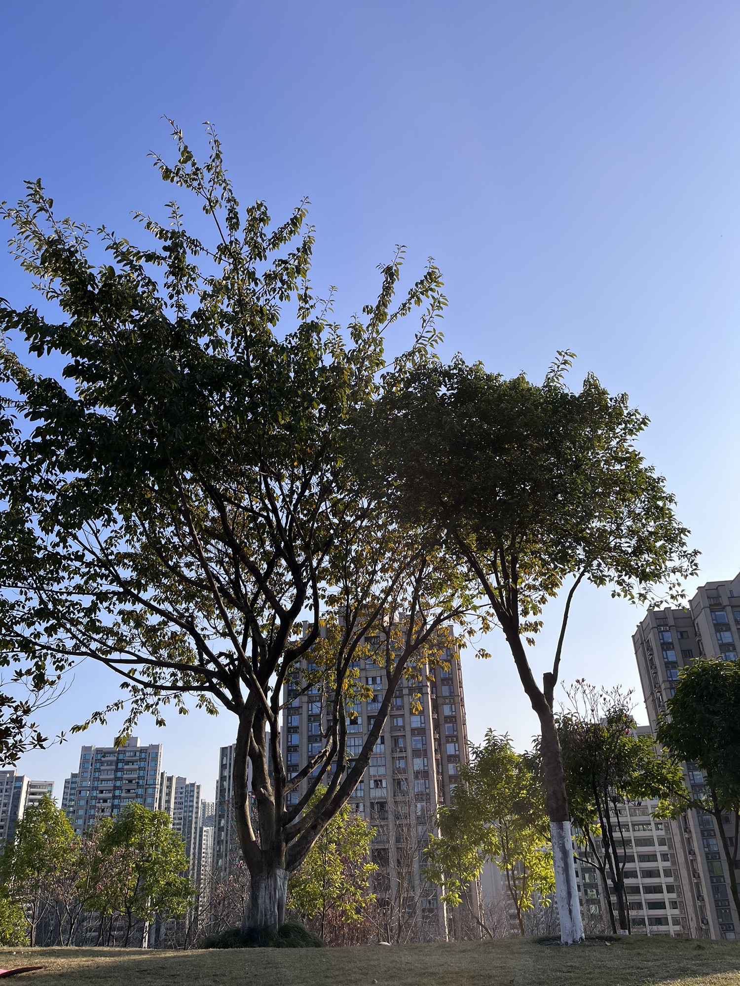 幸福公园旅行图片 1