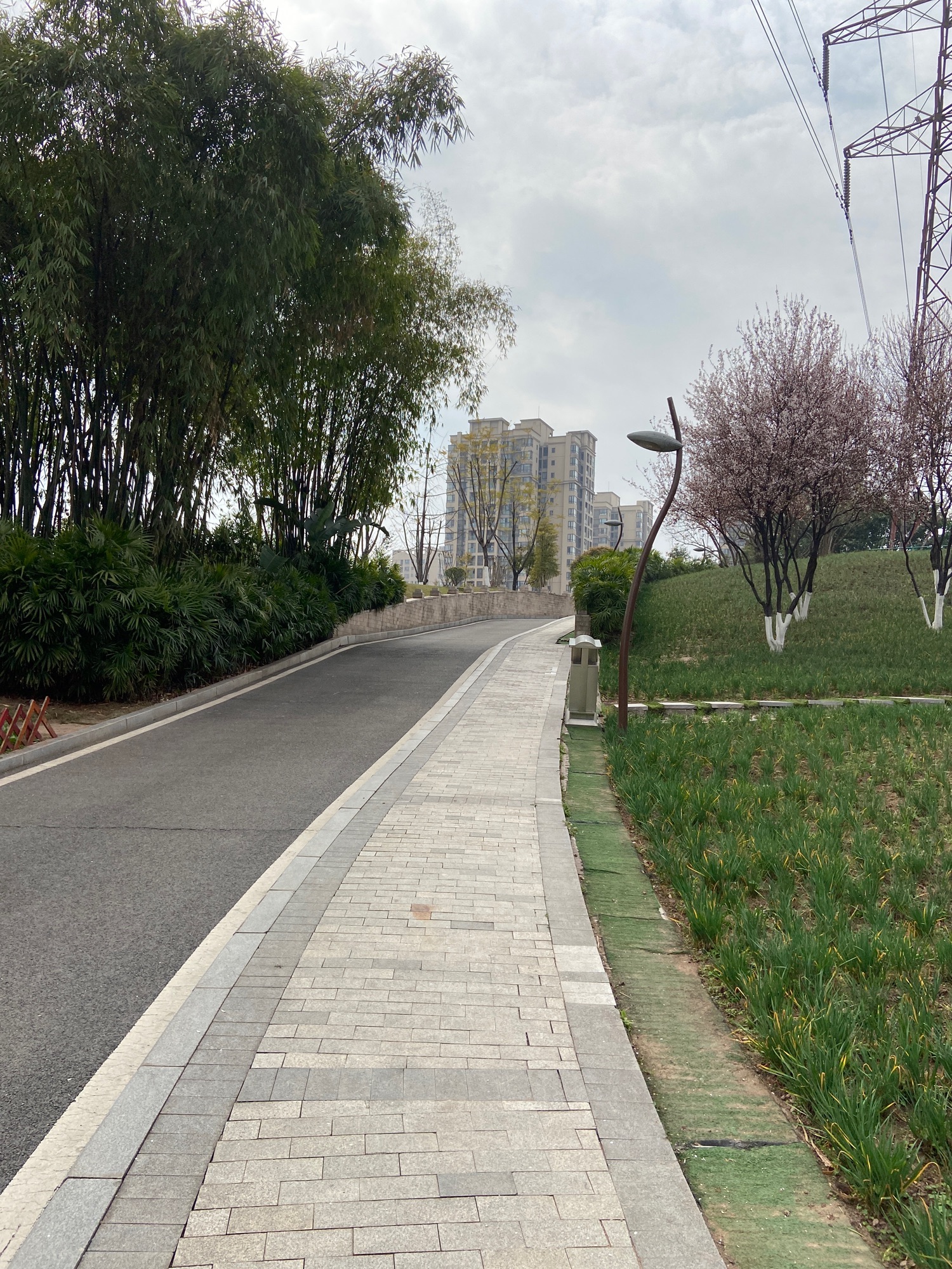 幸福公园旅行图片 3