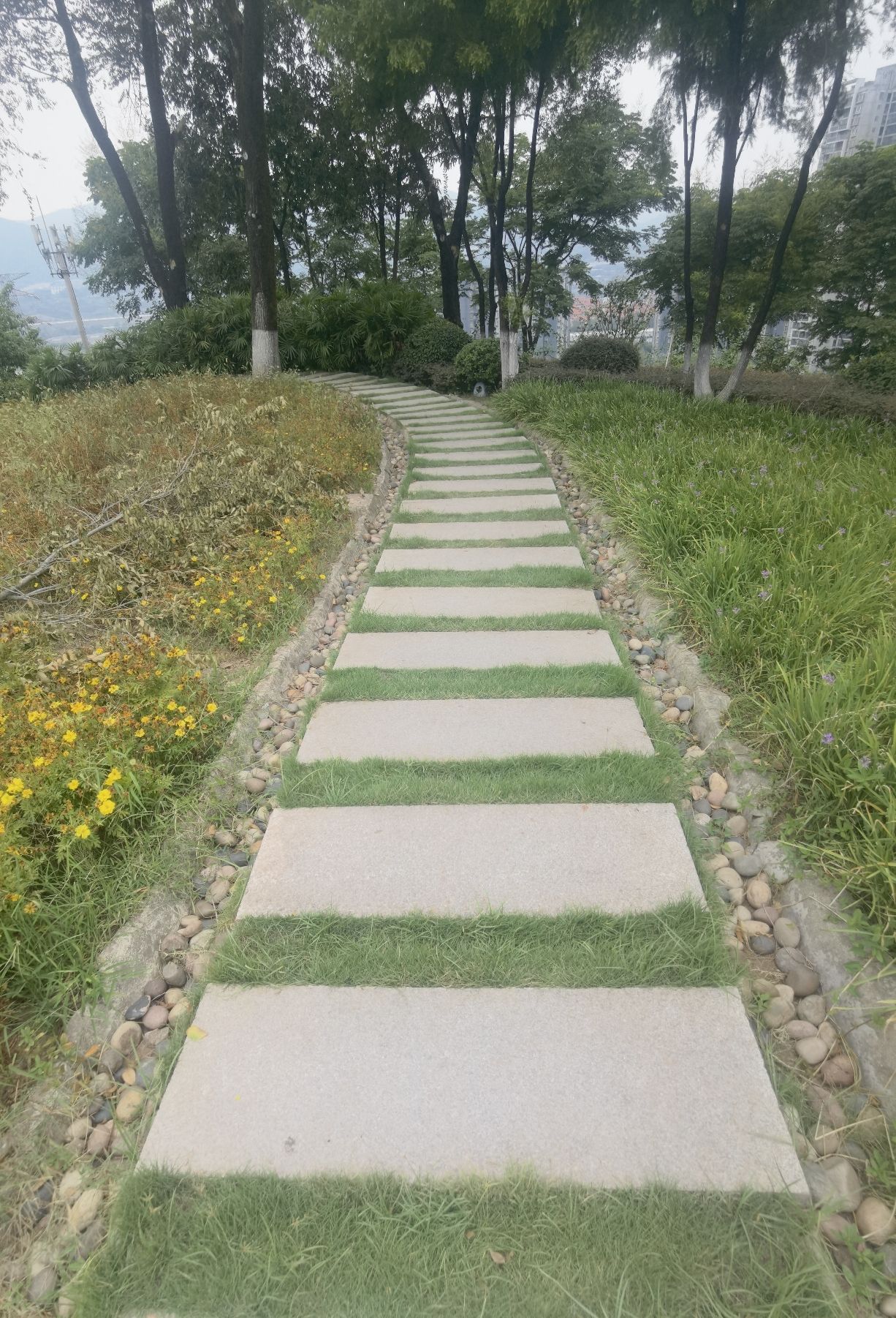 幸福公园旅行图片 3