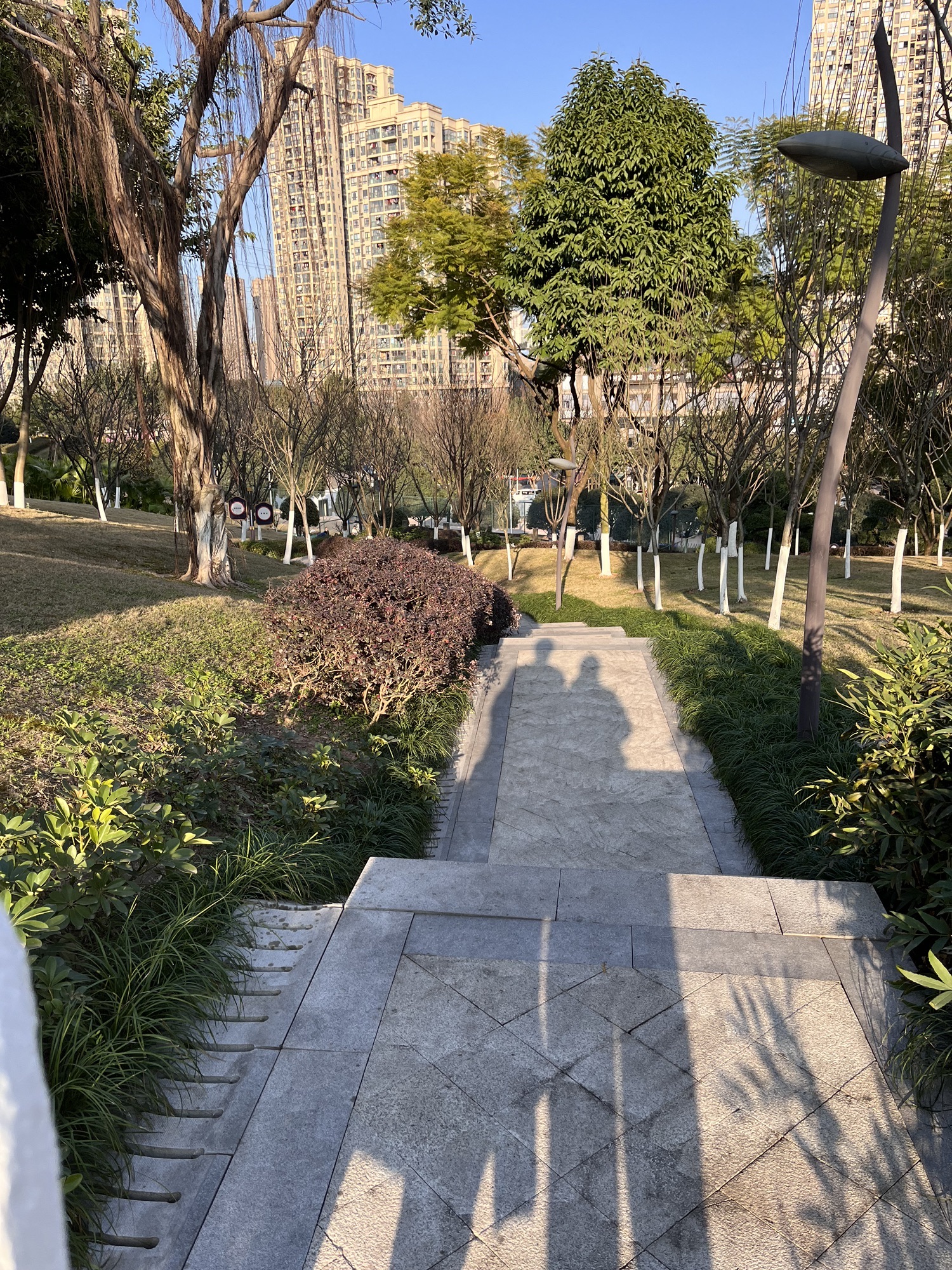 幸福公园旅行图片 2