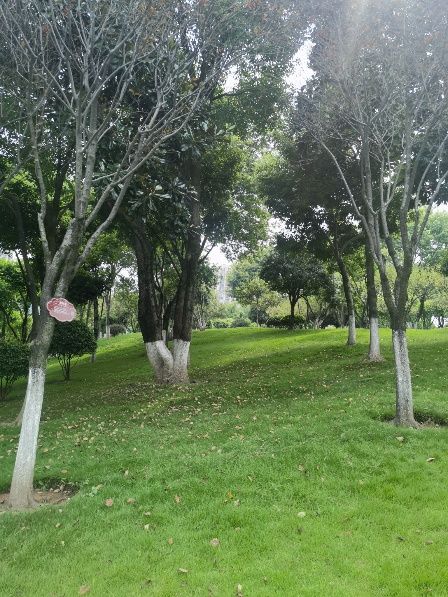 幸福公园旅行图片 1