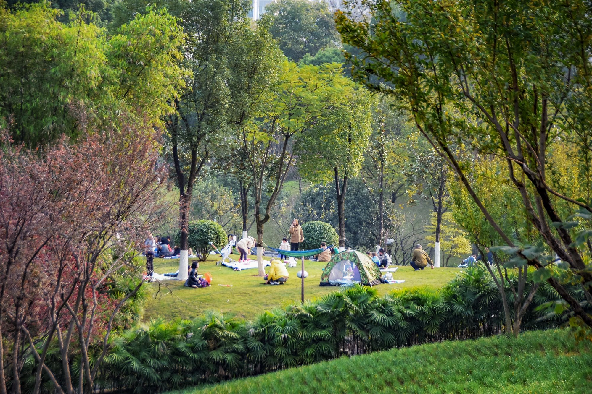 幸福公园旅行图片 3