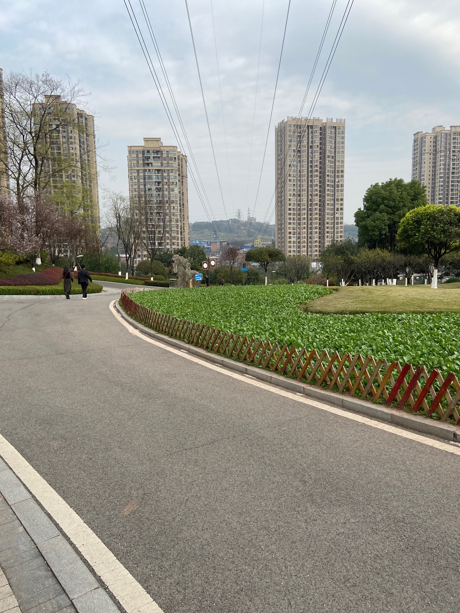 幸福公园旅行图片 2